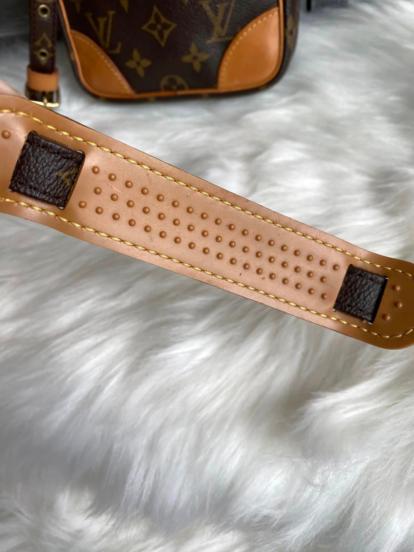 Louis Vuitton Danube Crossbody