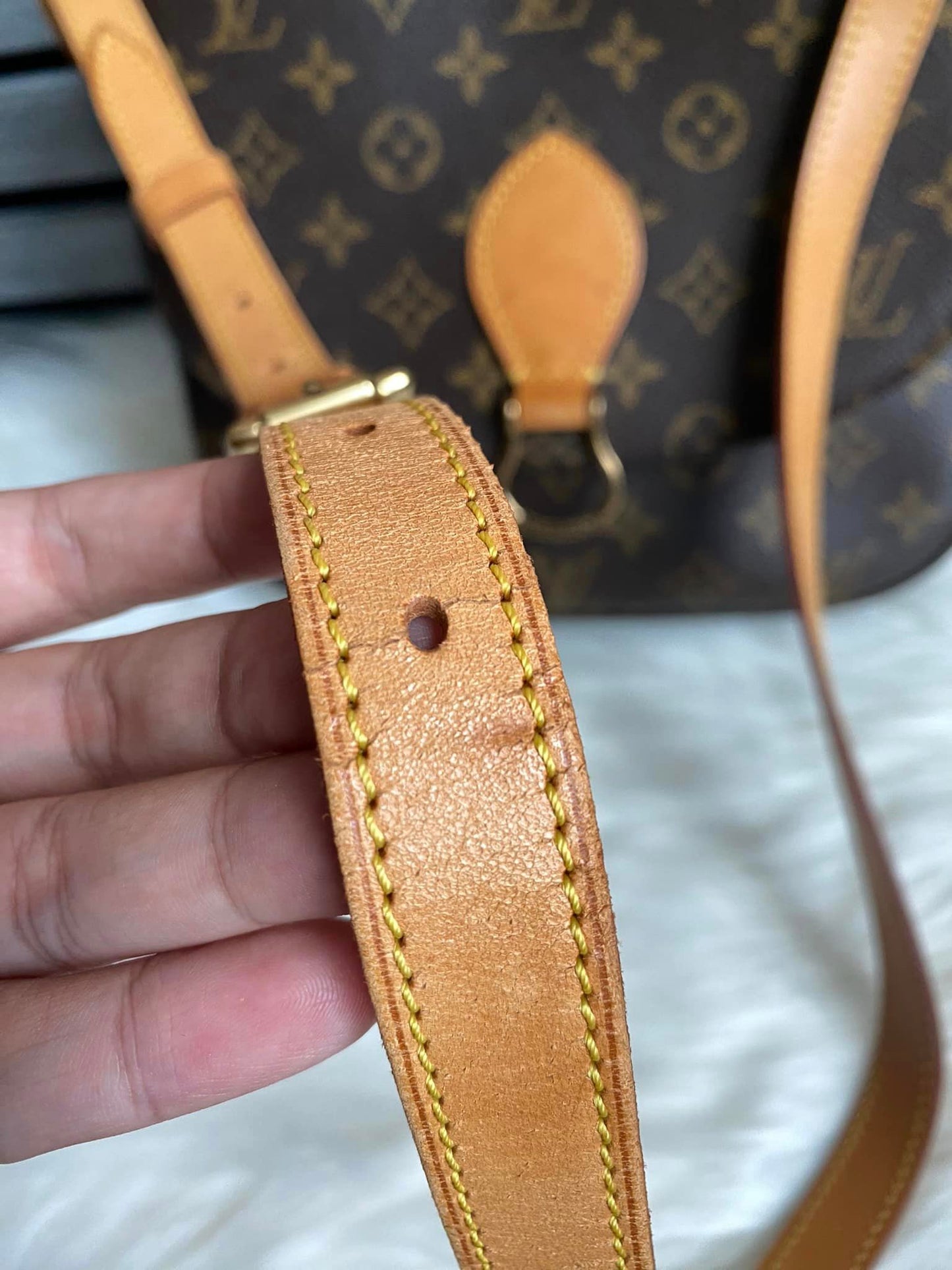 Louis Vuitton Saint Cloud GM