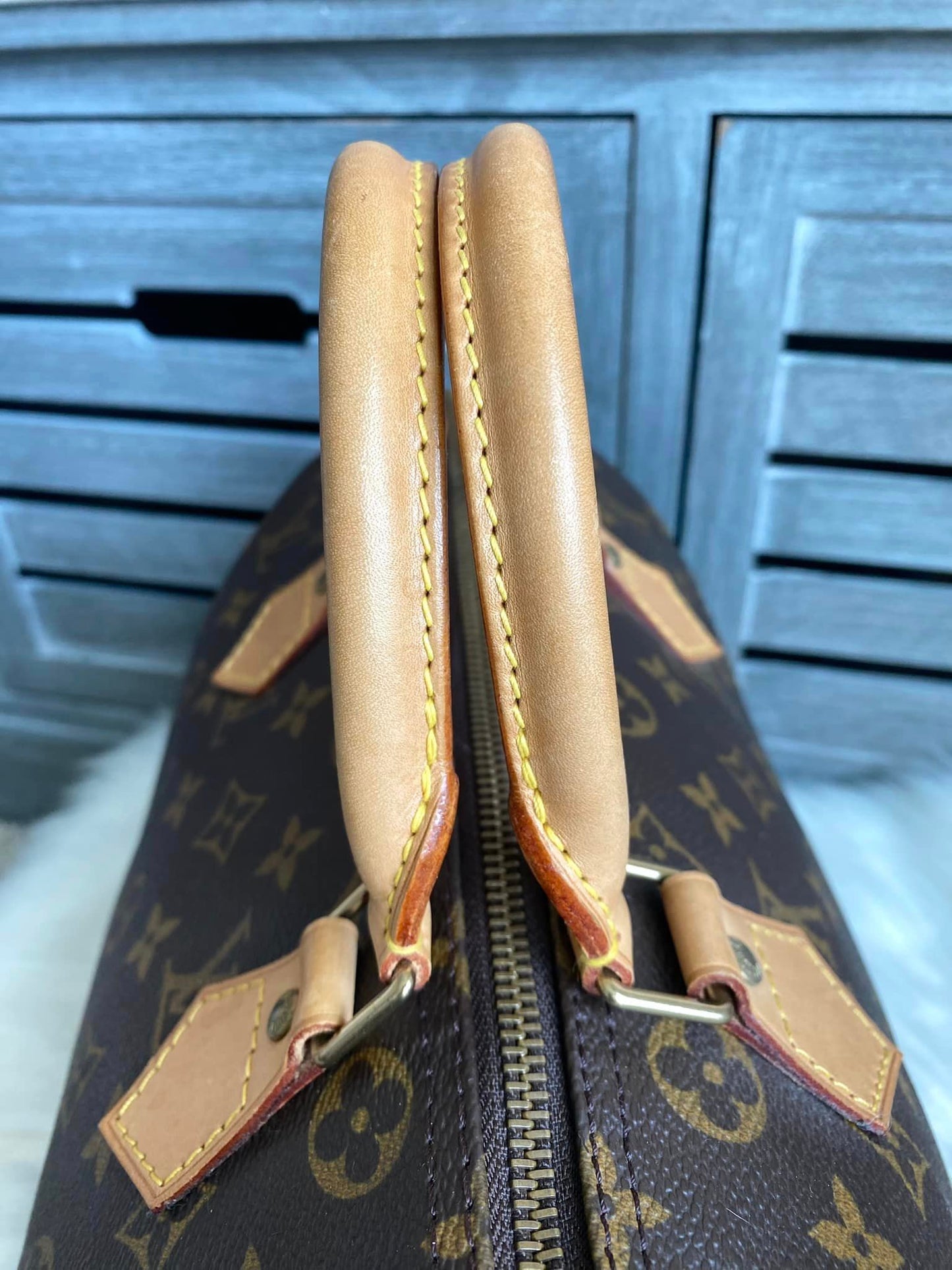 Louis Vuitton Speedy 30