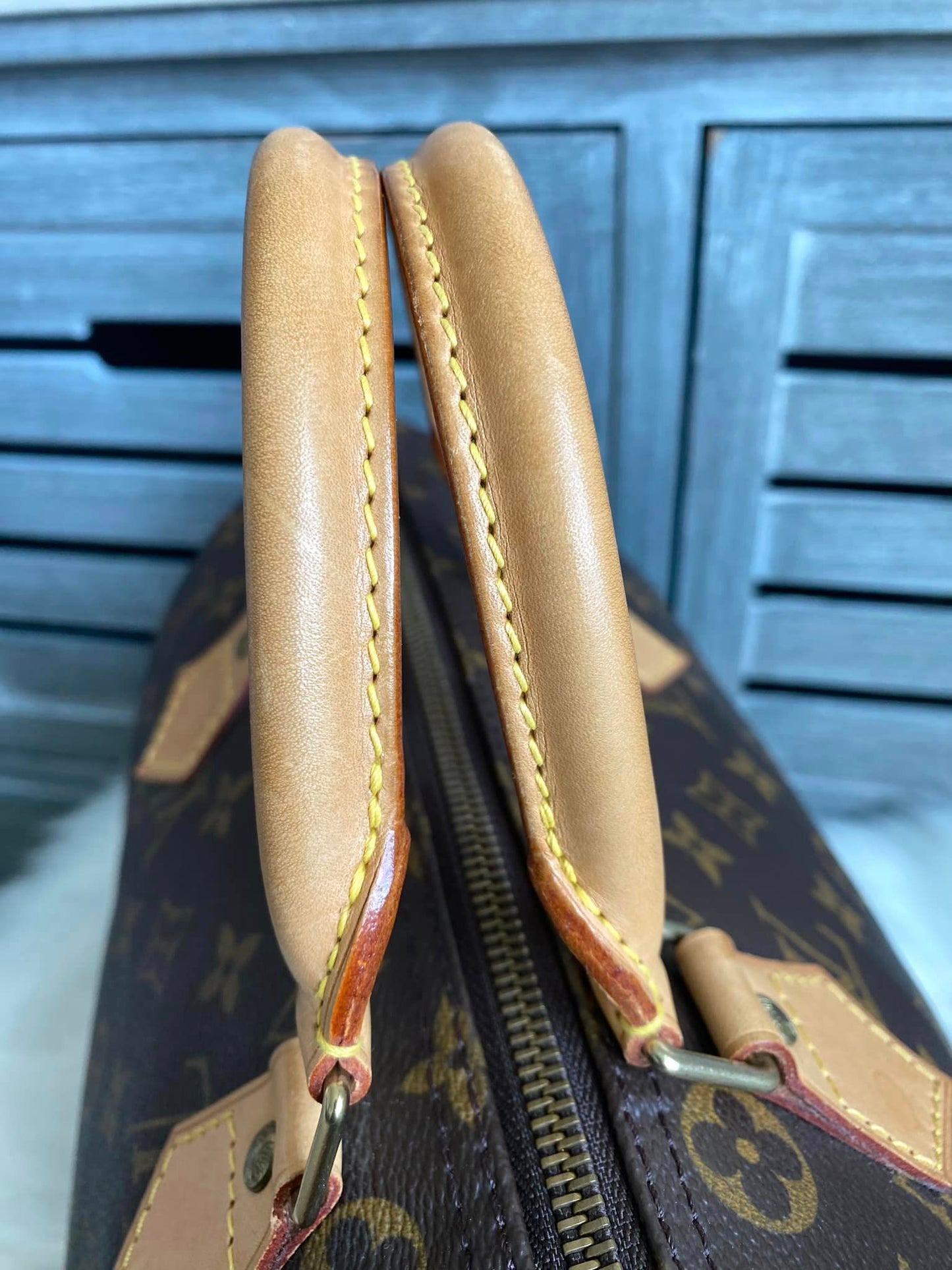 Louis Vuitton Speedy 30
