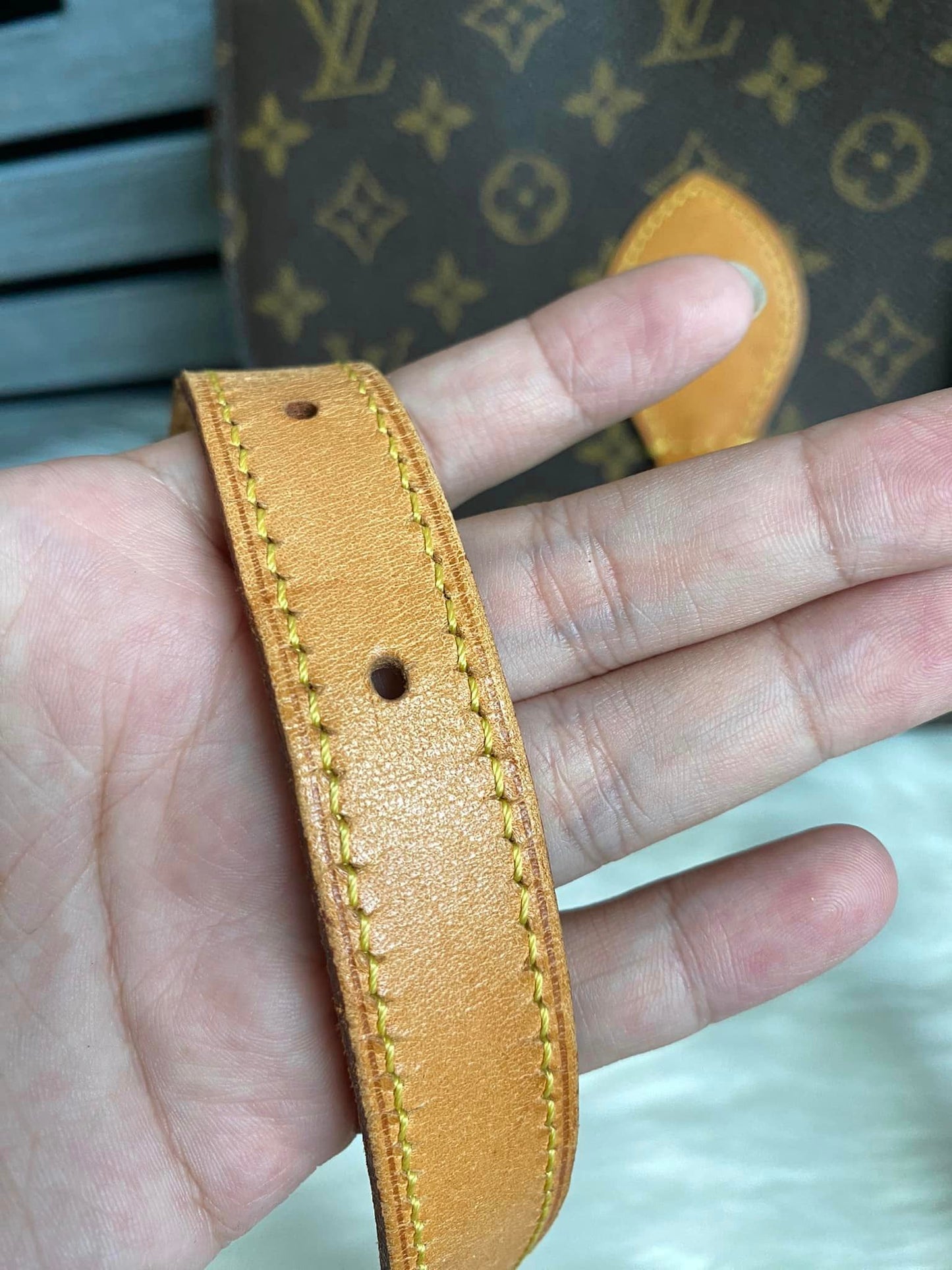 Louis Vuitton Saint Cloud GM