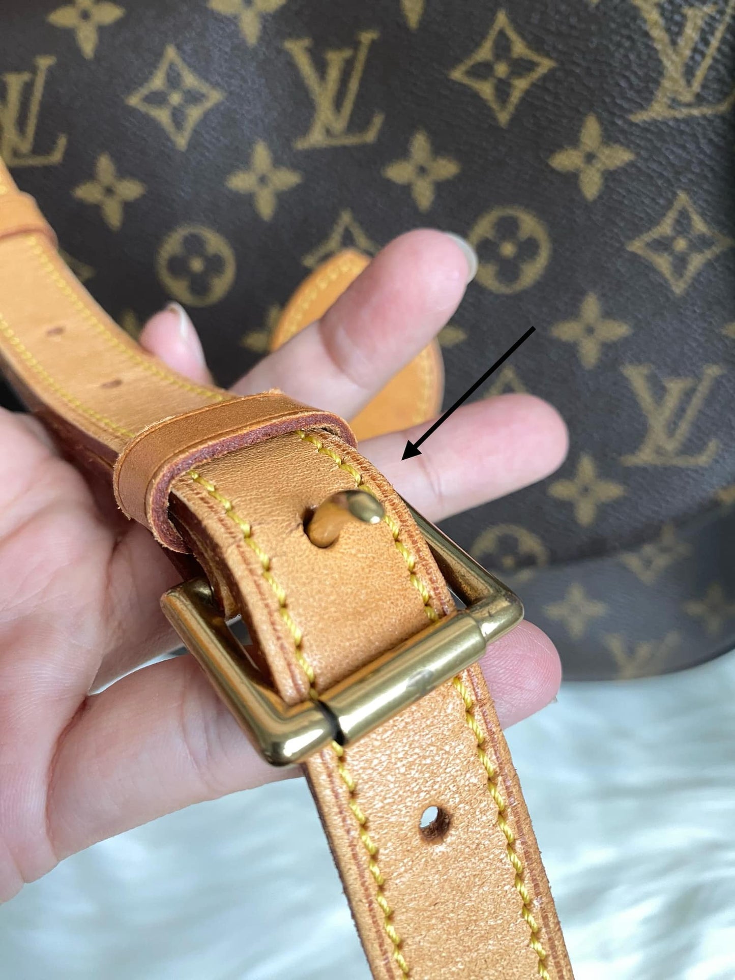 Louis Vuitton Saint Cloud GM