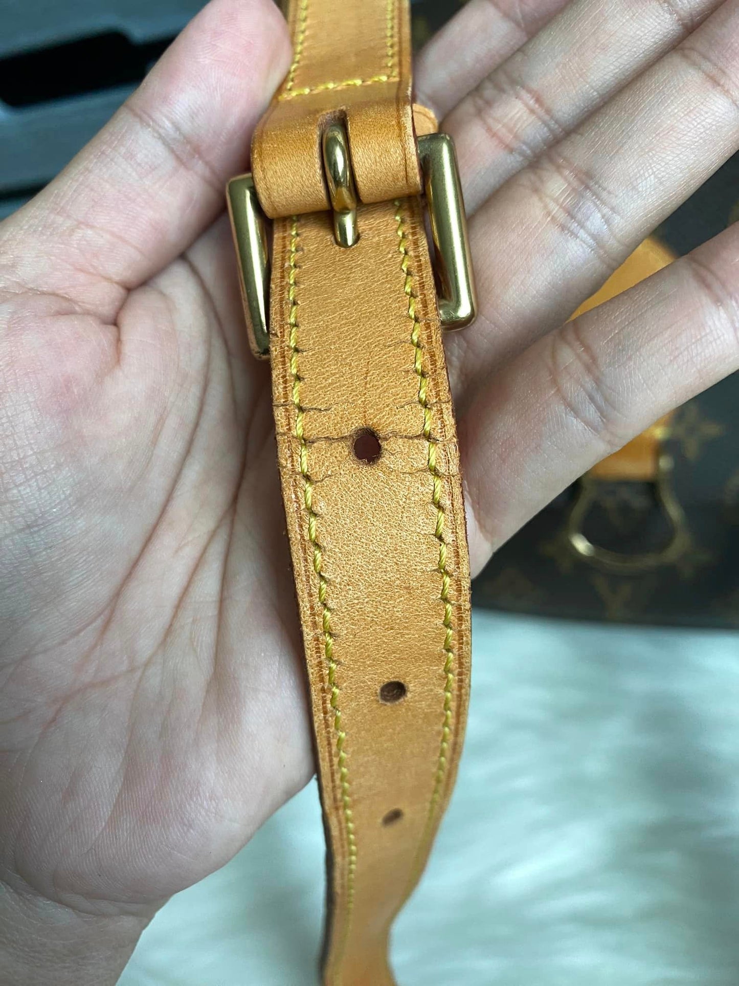Louis Vuitton Saint Cloud GM