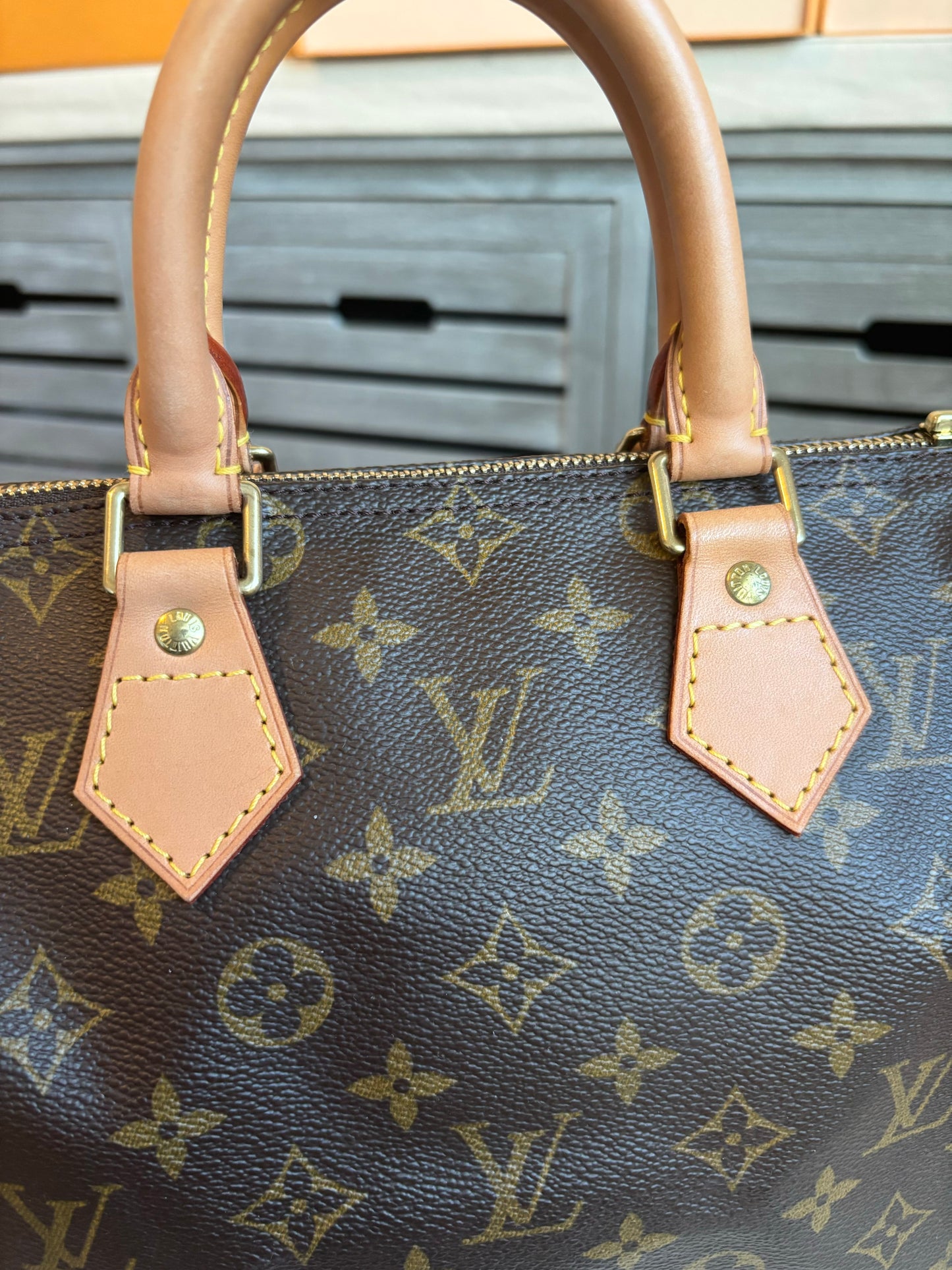 Louis Vuitton Speedy 25