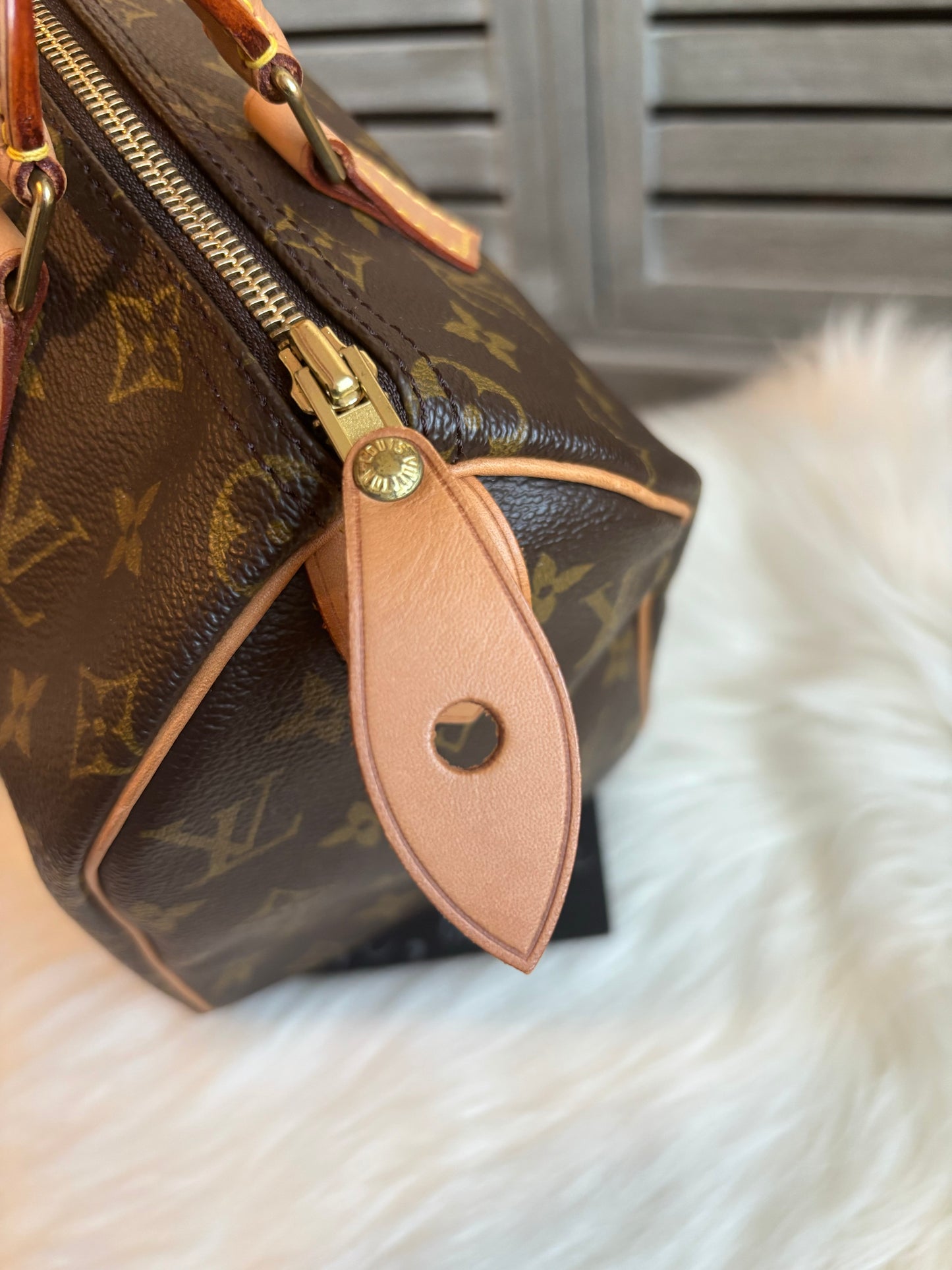 Louis Vuitton Speedy 25