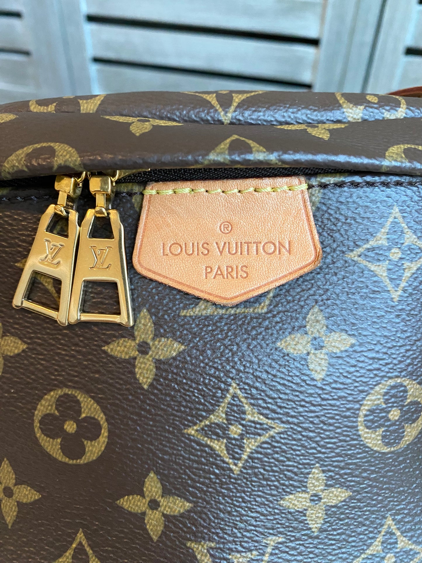 Louis Vuitton Monogram Bumbag