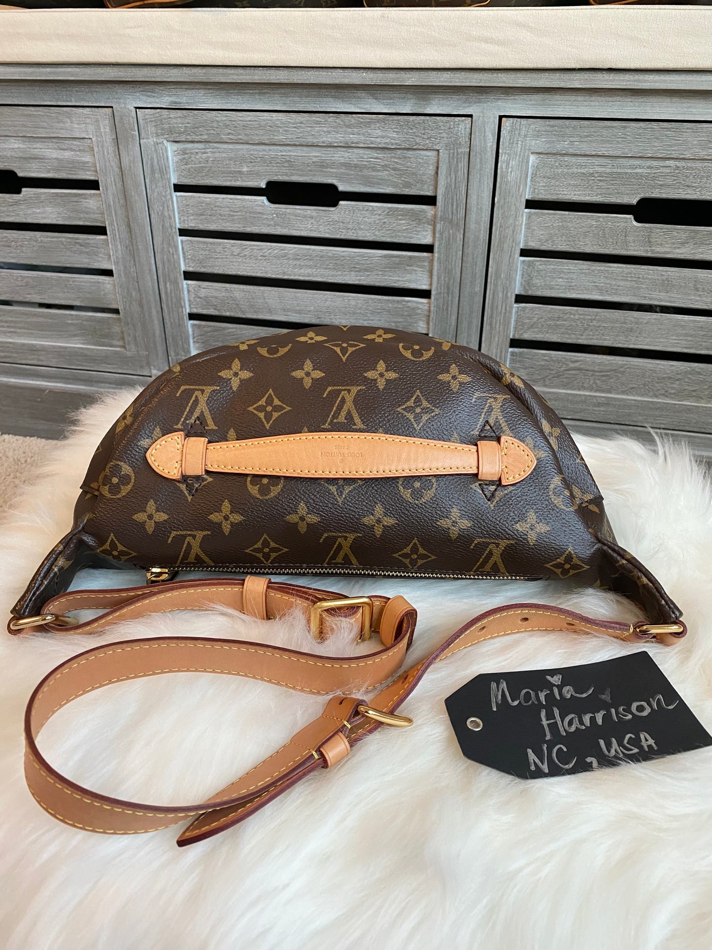 Louis Vuitton Monogram Bumbag