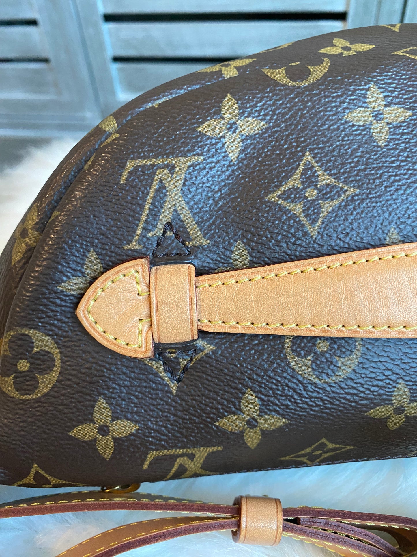 Louis Vuitton Monogram Bumbag