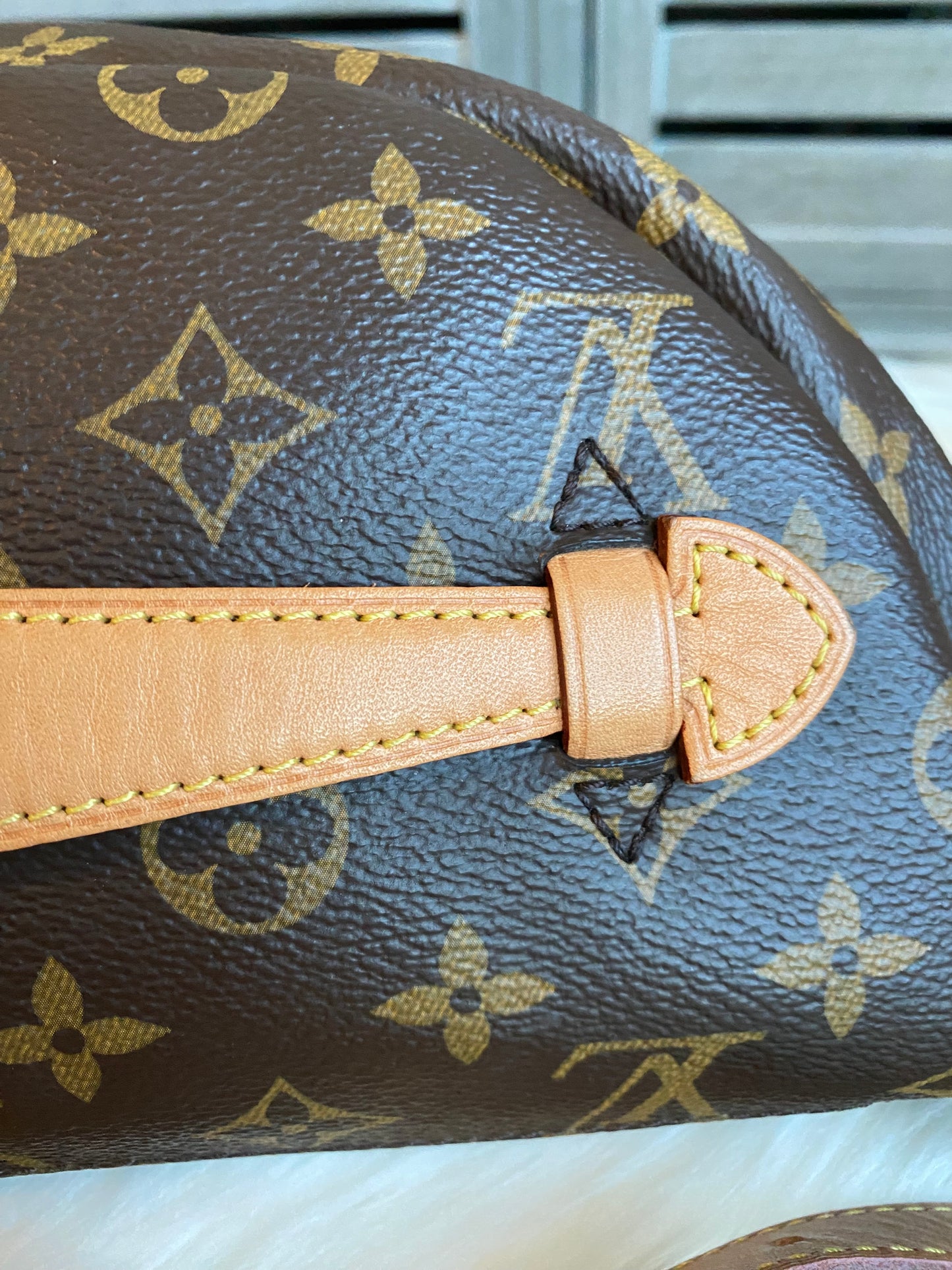 Louis Vuitton Monogram Bumbag