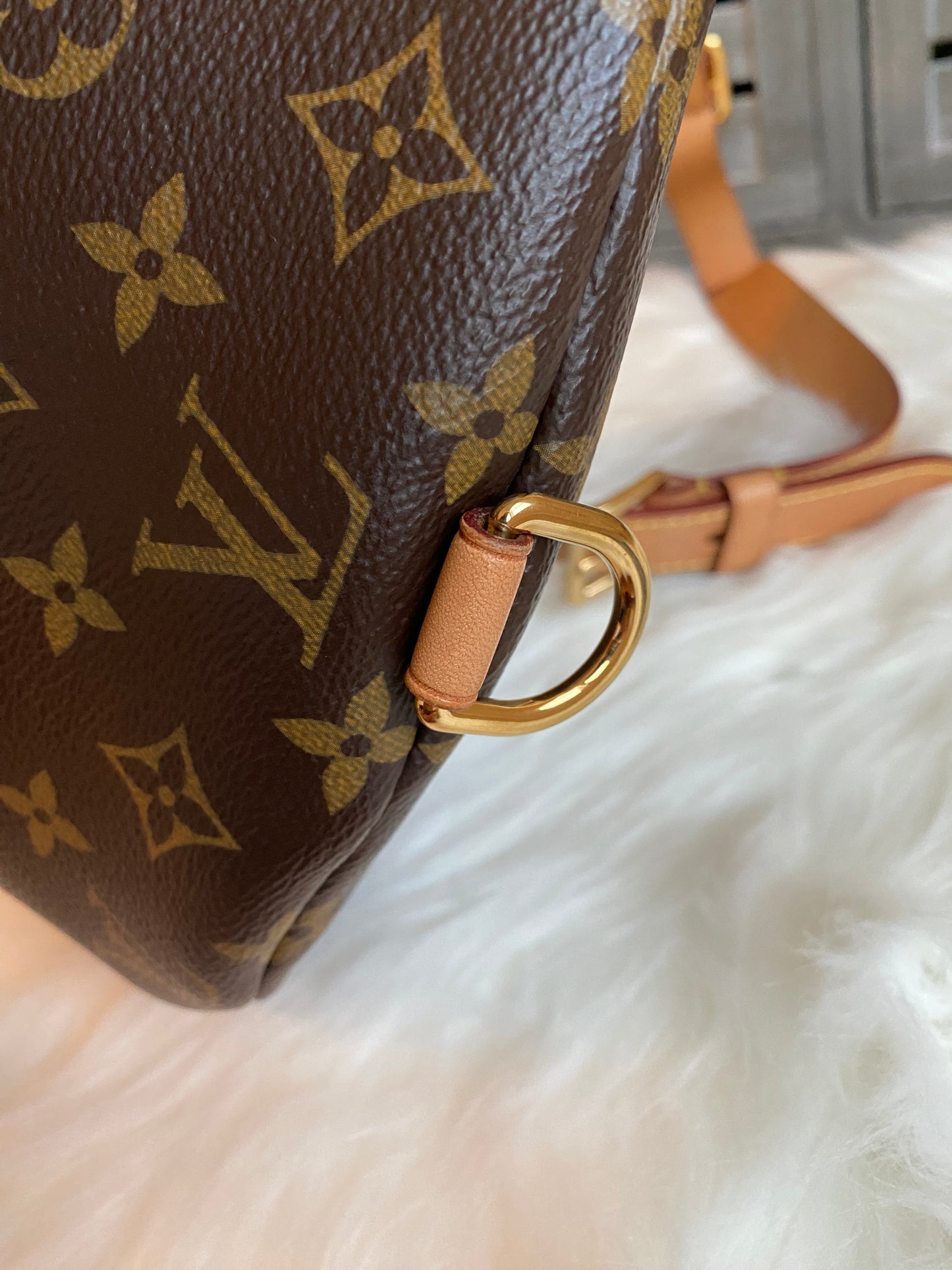 Louis Vuitton Monogram Bumbag