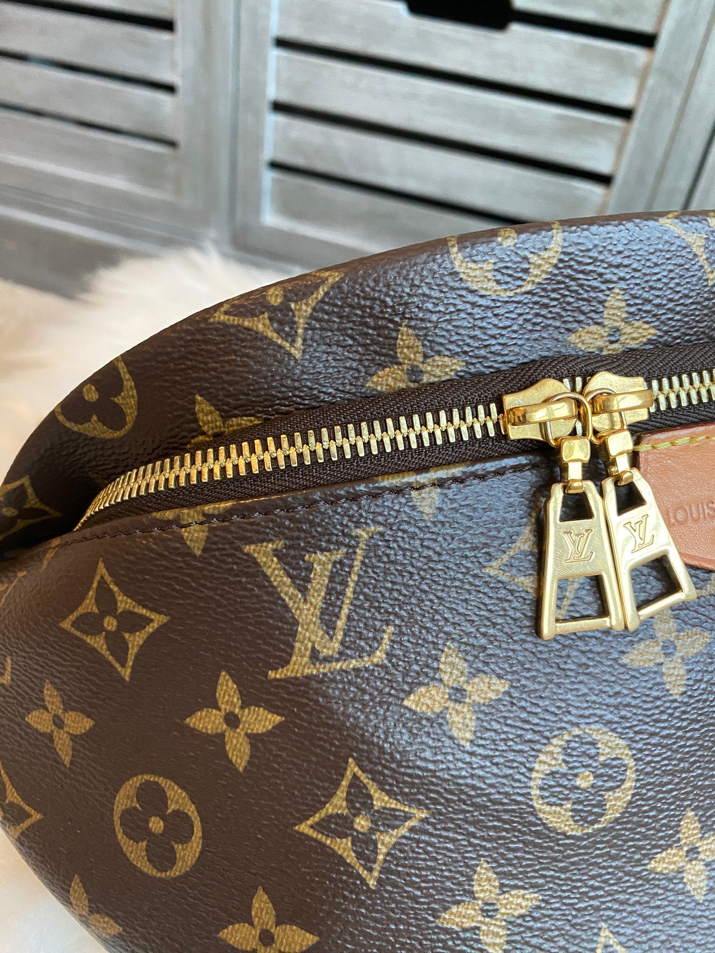 Louis Vuitton Monogram Bumbag