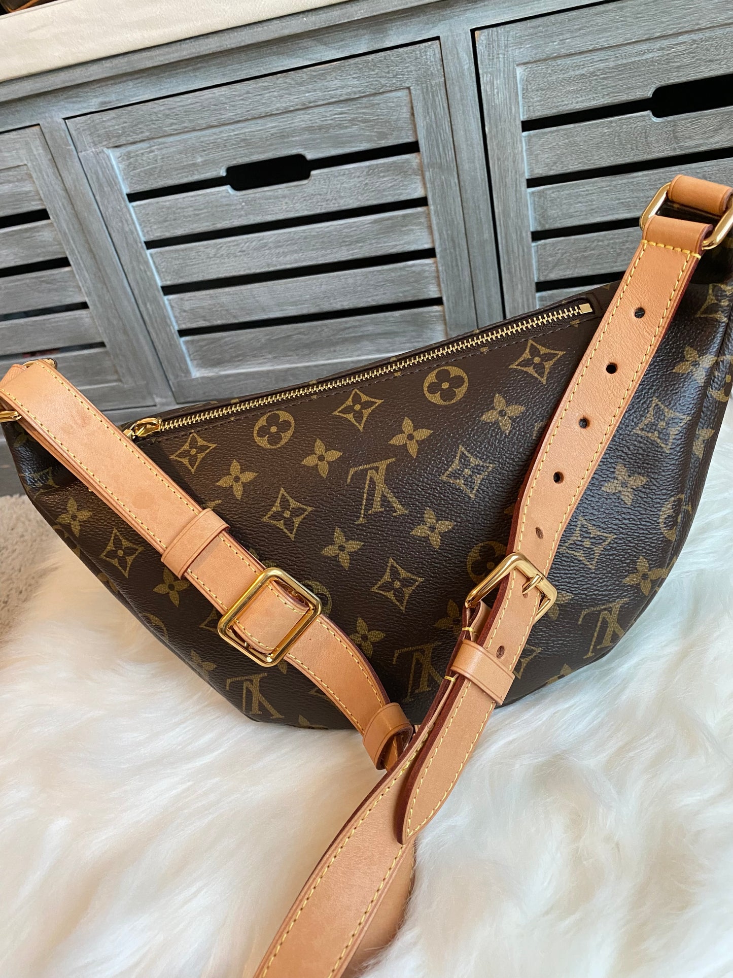 Louis Vuitton Monogram Bumbag