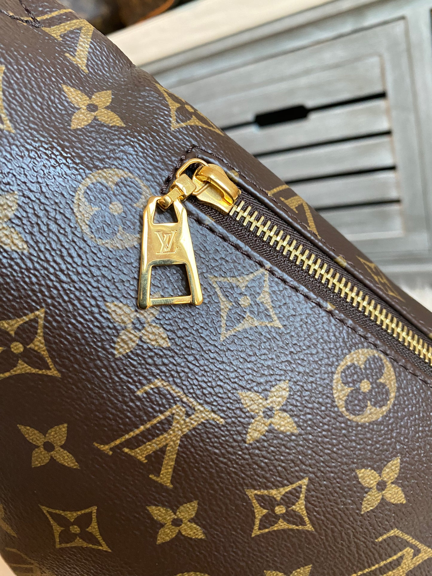 Louis Vuitton Monogram Bumbag