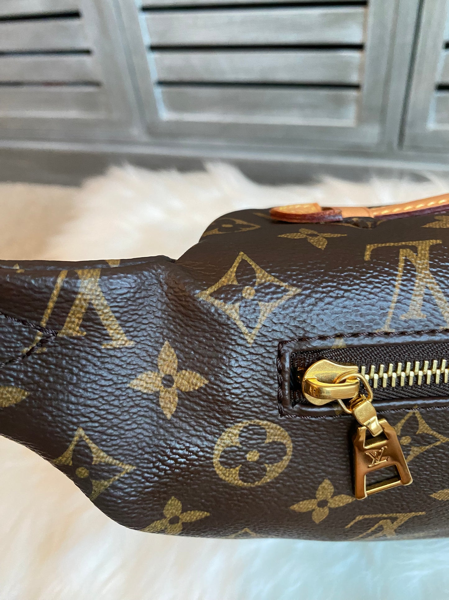 Louis Vuitton Monogram Bumbag