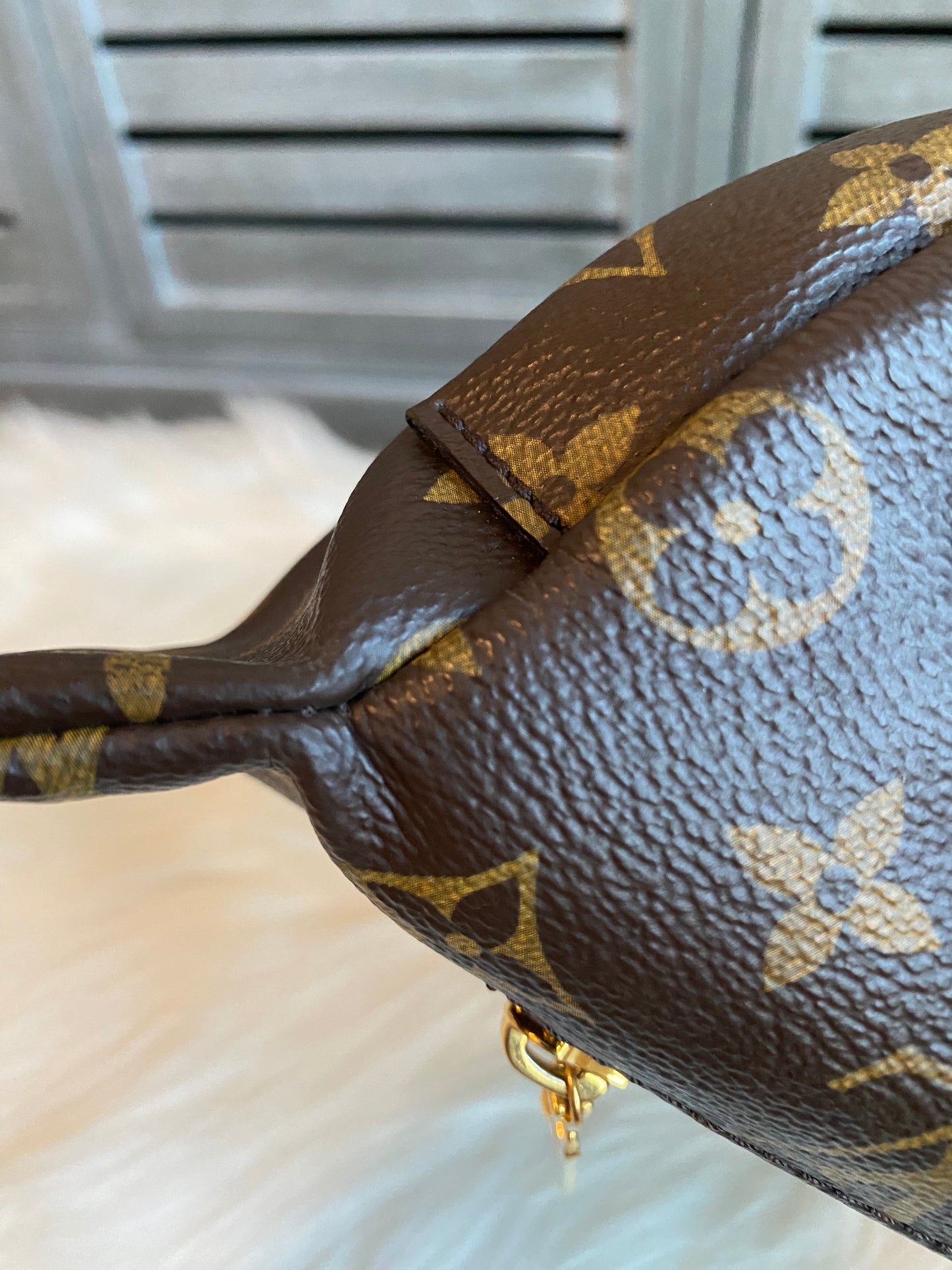 Louis Vuitton Monogram Bumbag