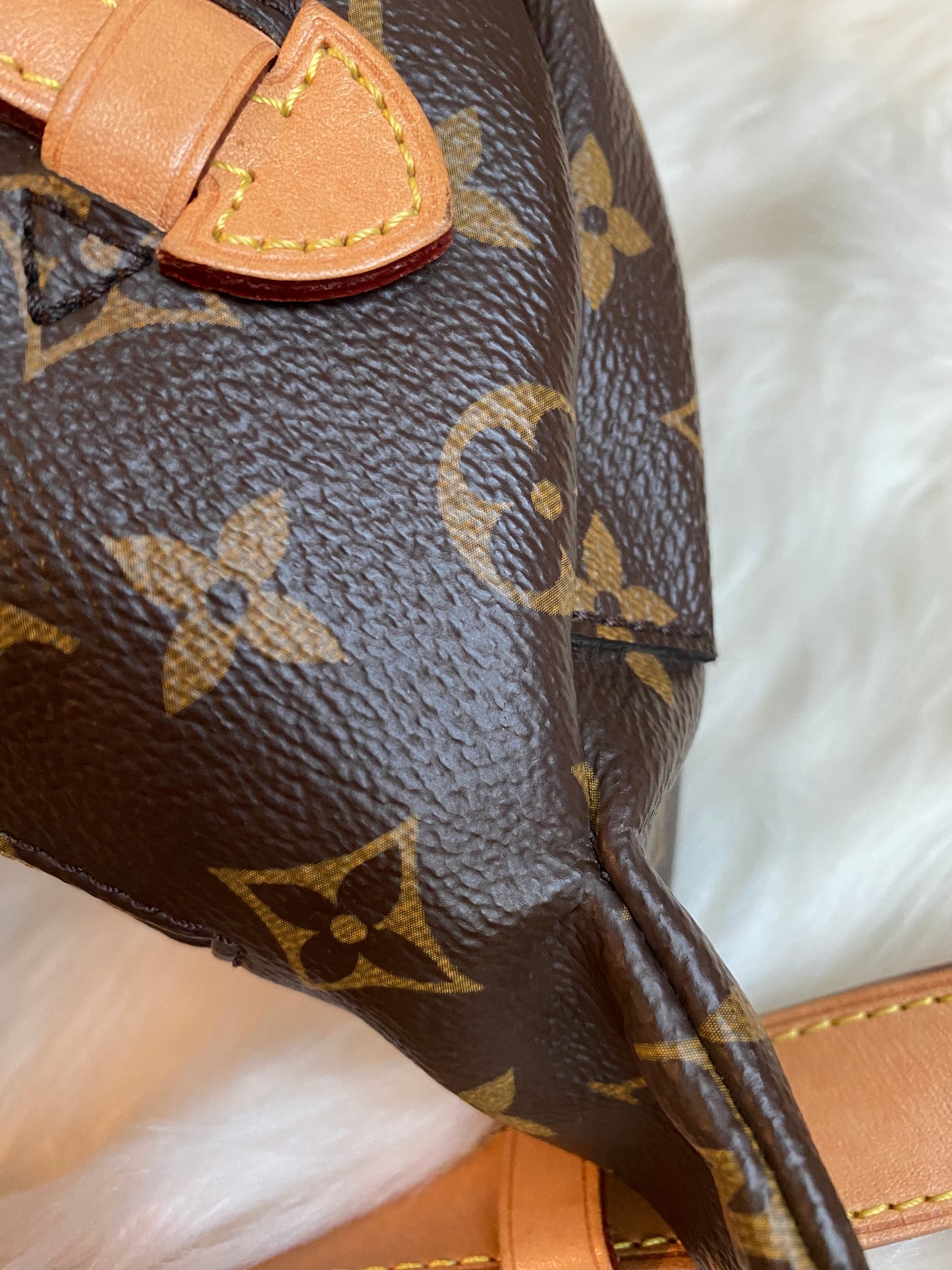 Louis Vuitton Monogram Bumbag