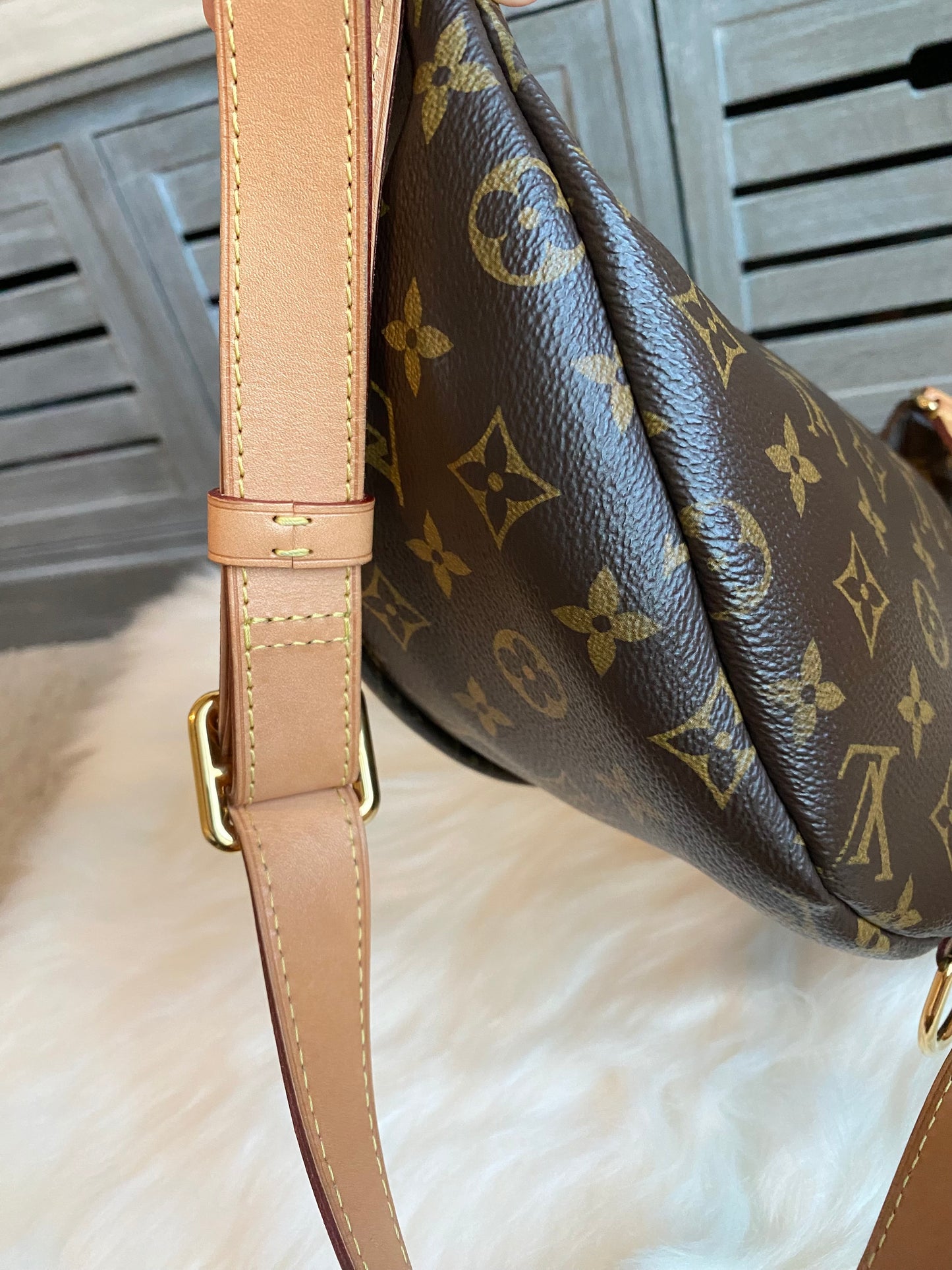 Louis Vuitton Monogram Bumbag