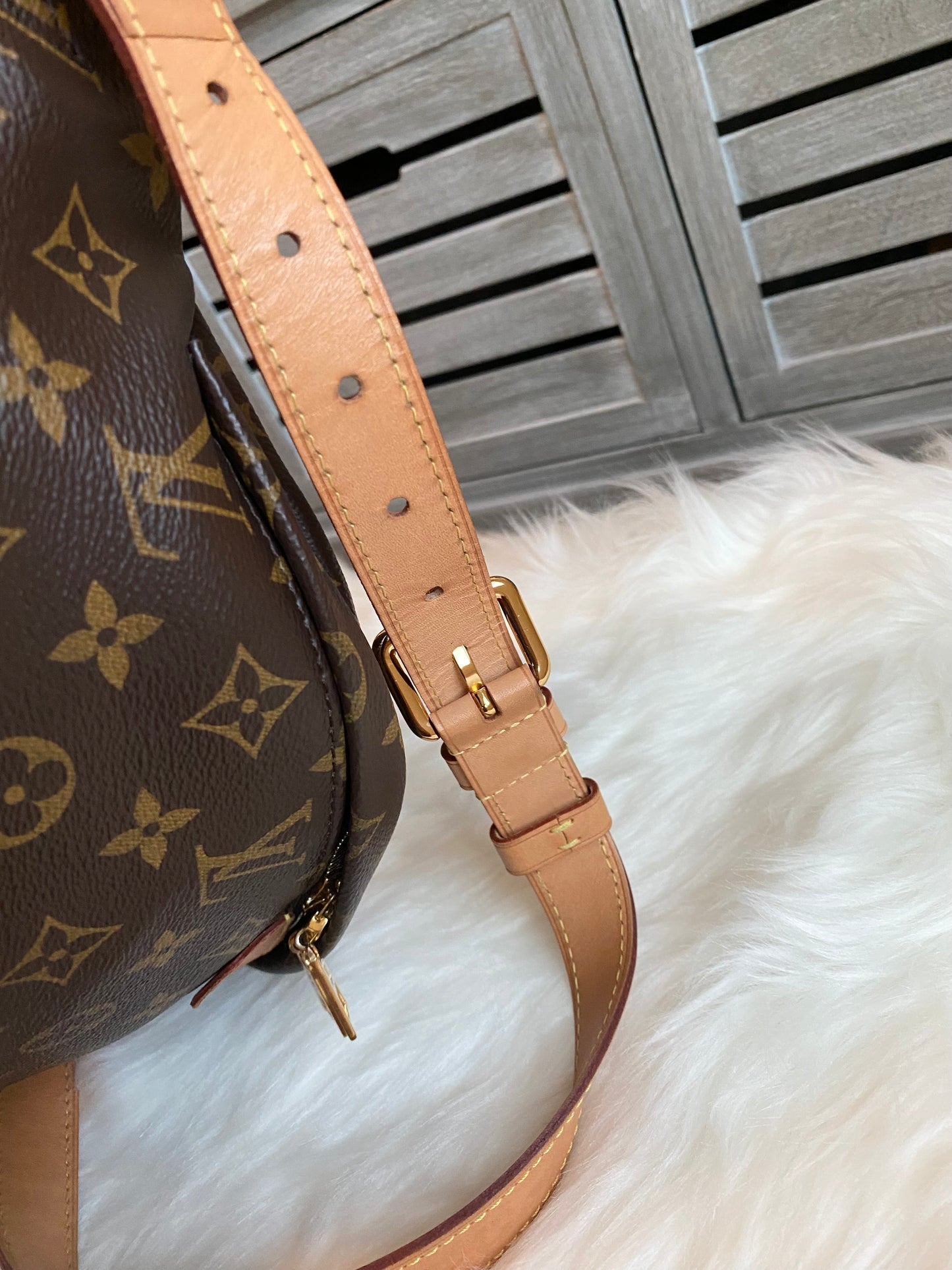 Louis Vuitton Monogram Bumbag