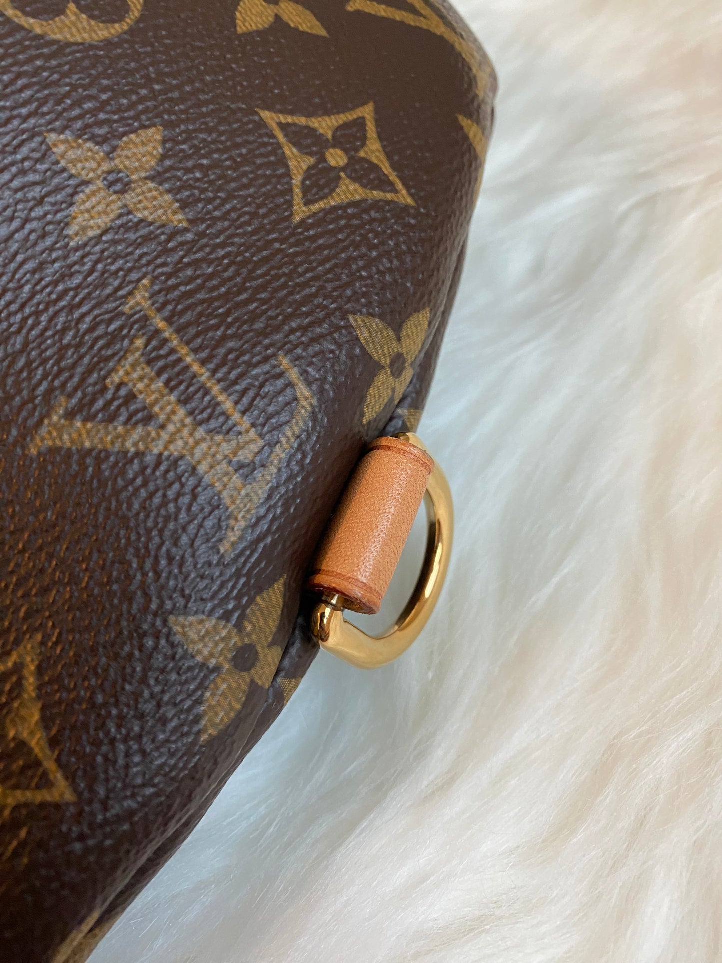 Louis Vuitton Monogram Bumbag