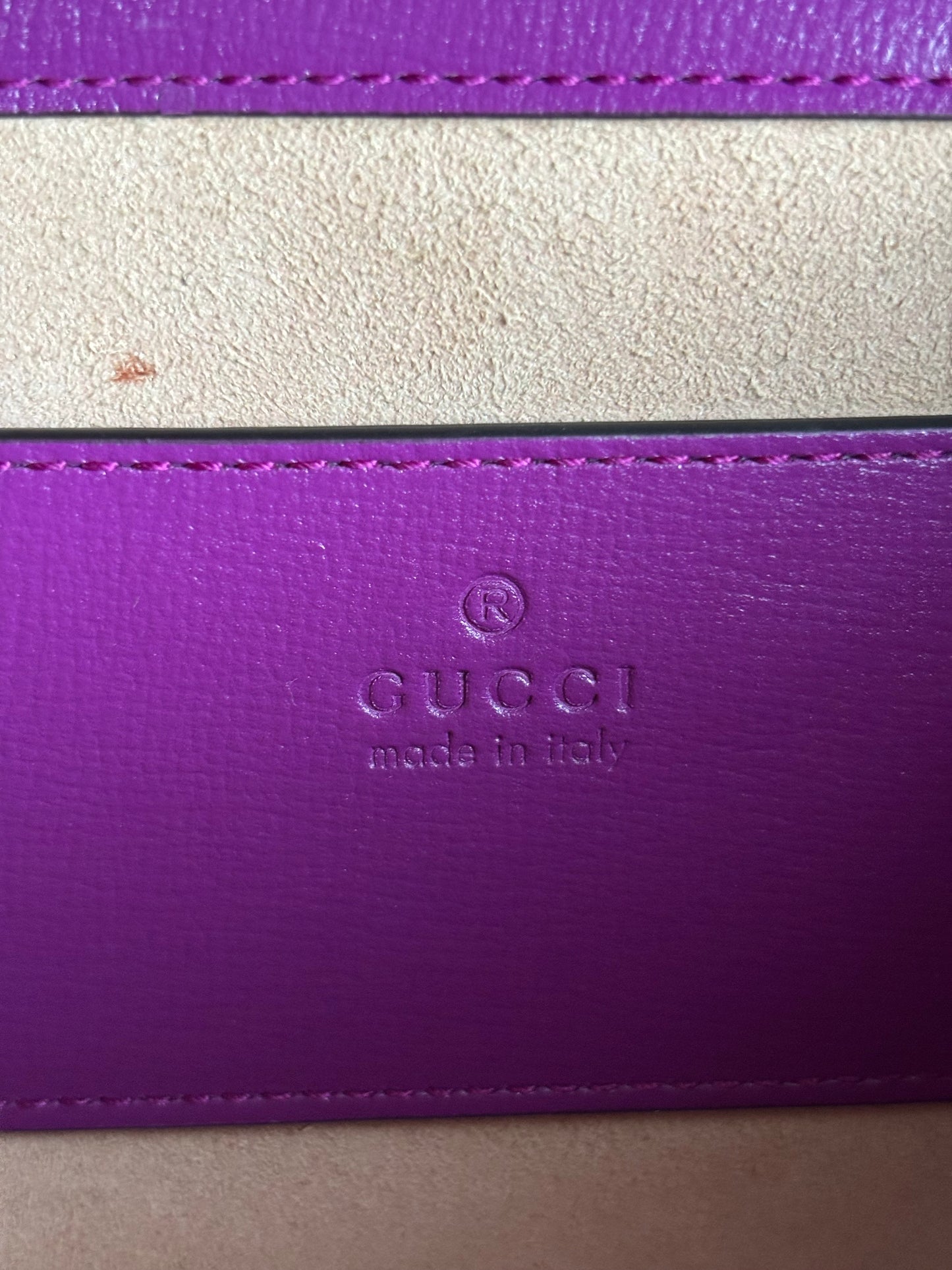 Gucci Azalea Calfskin Web Monochrome Mini Horsebit 1955 Chain Bag