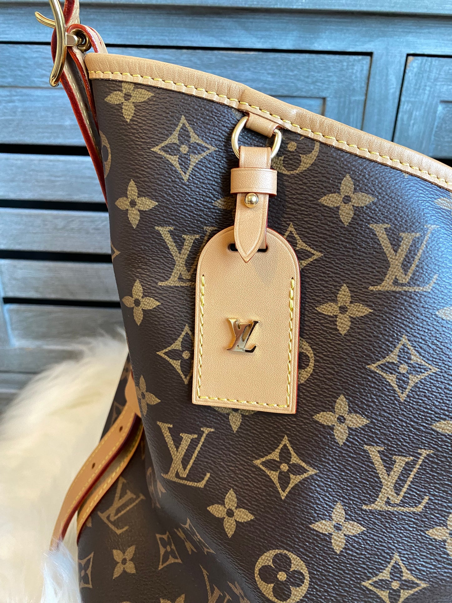 Louis Vuitton CarryAll MM