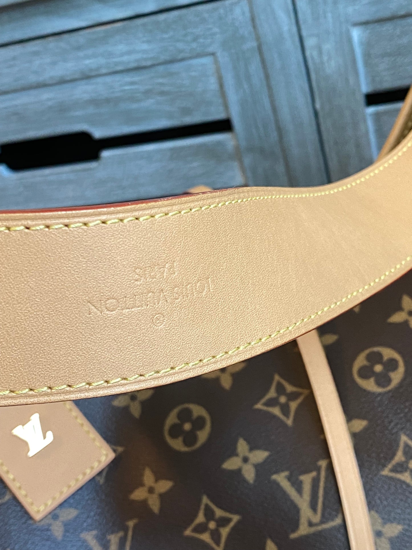 Louis Vuitton CarryAll MM