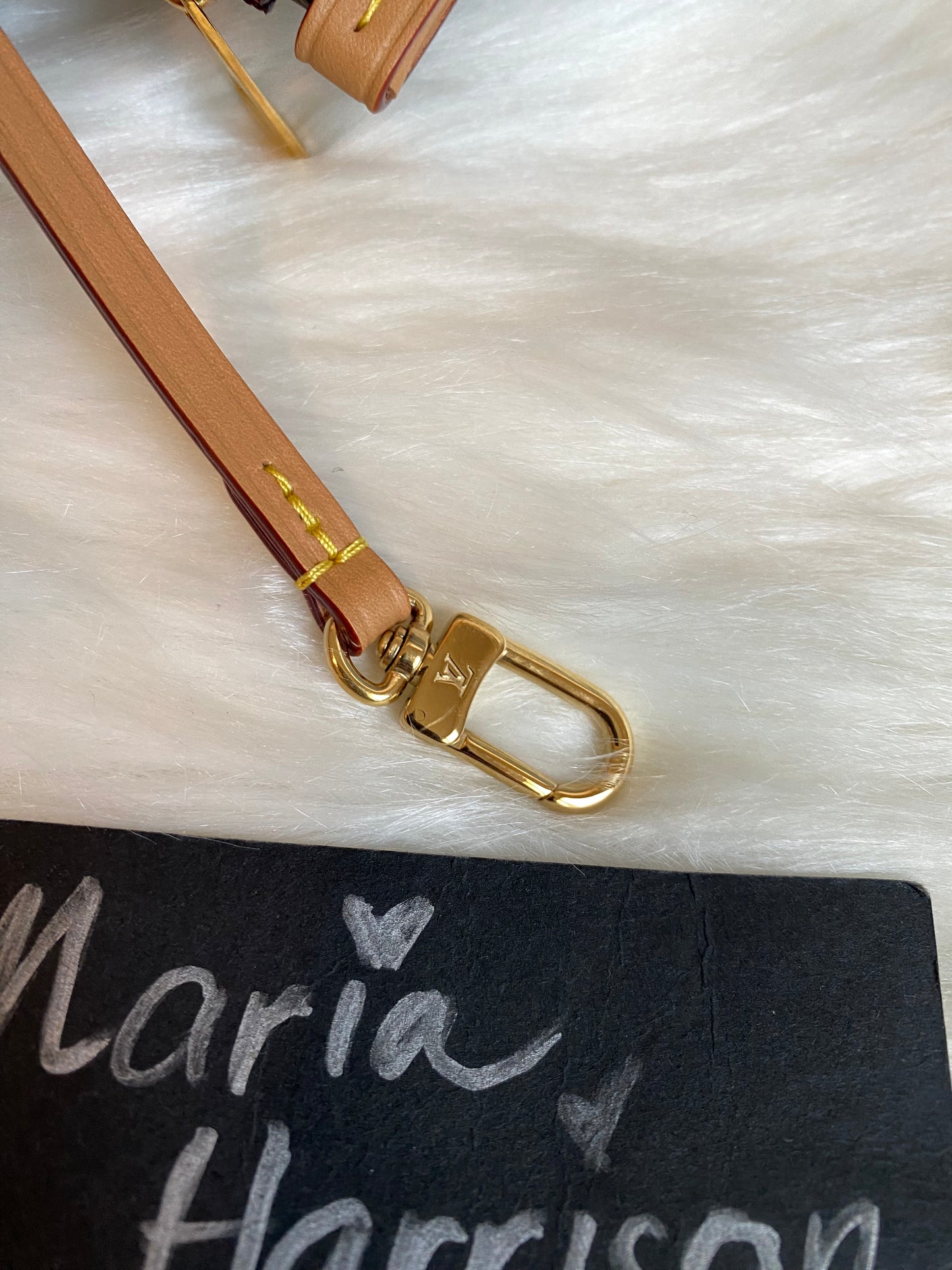 Louis Vuitton CarryAll MM