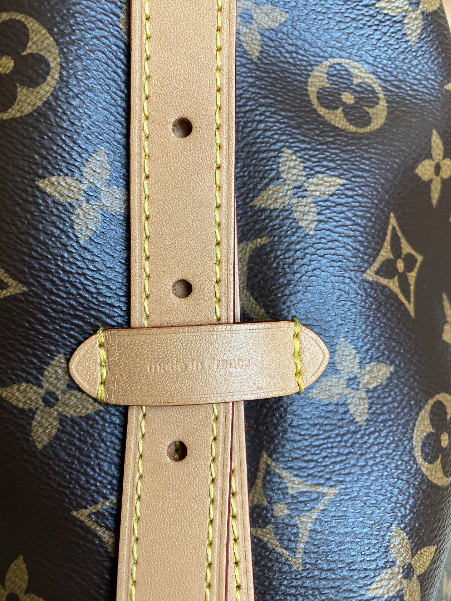 Louis Vuitton CarryAll MM