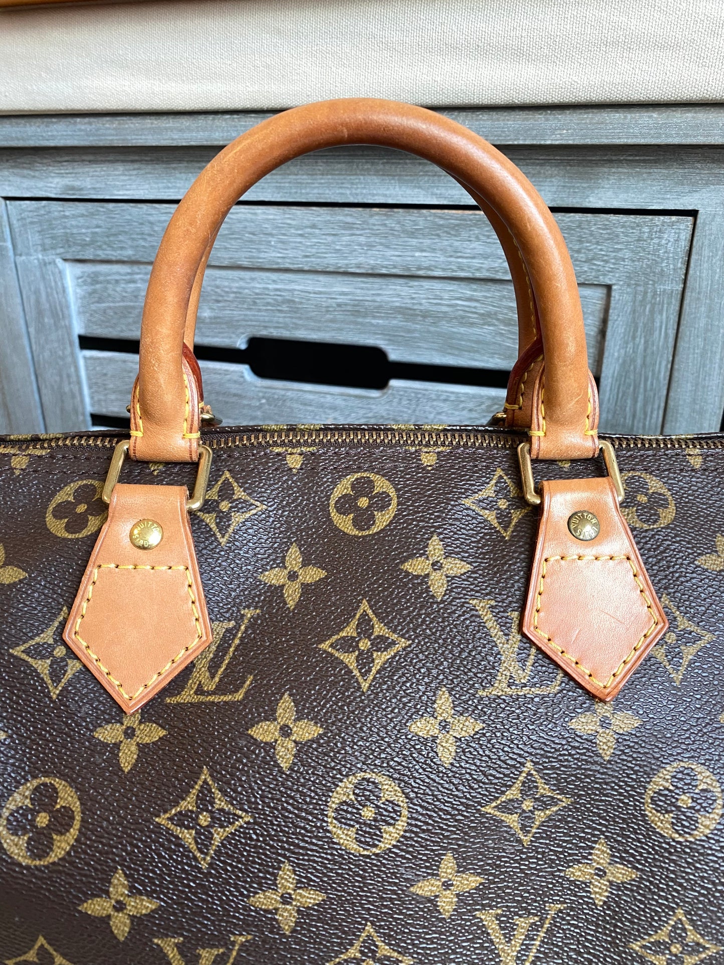 Louis Vuitton Speedy 30