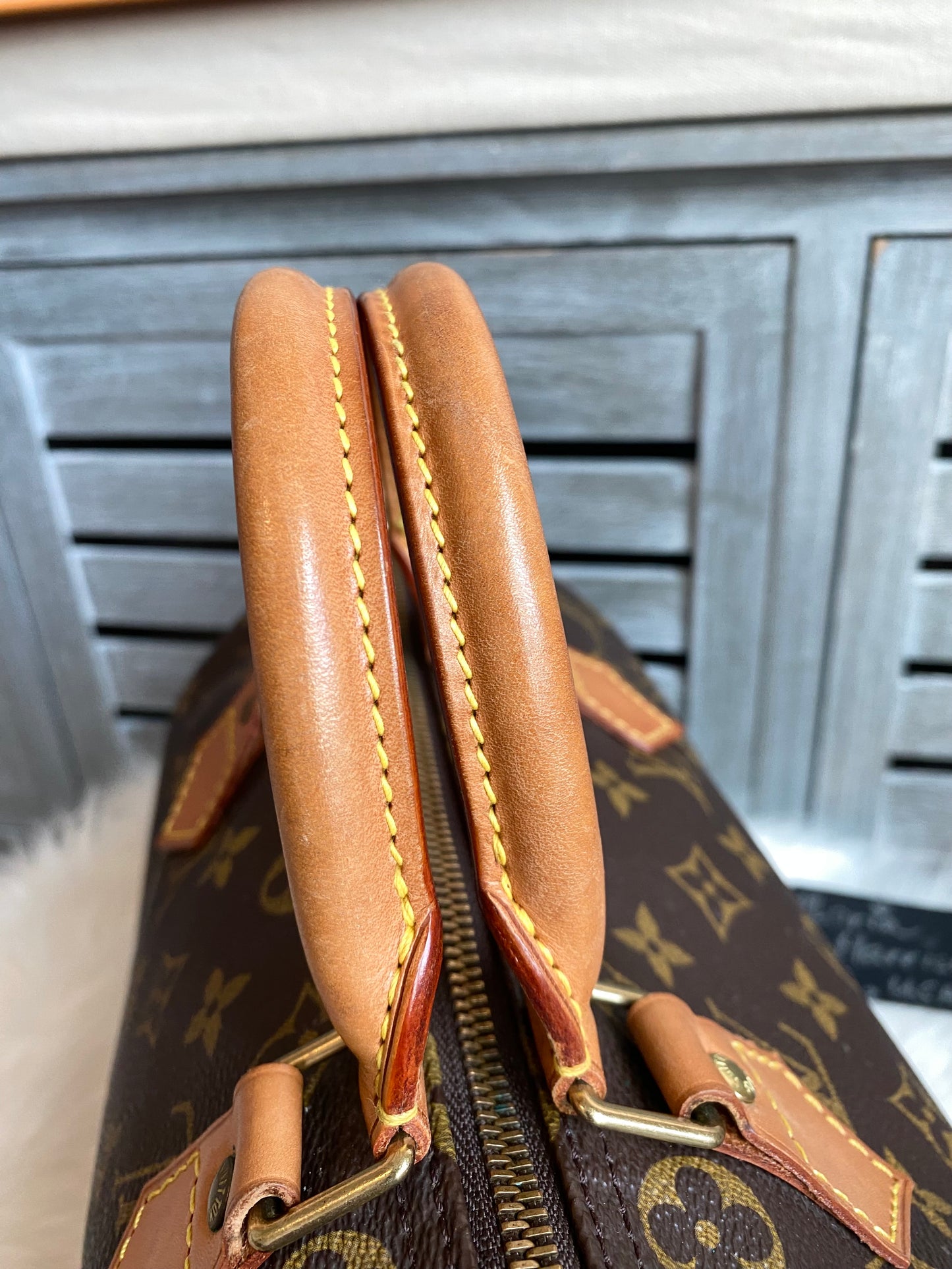 Louis Vuitton Speedy 30