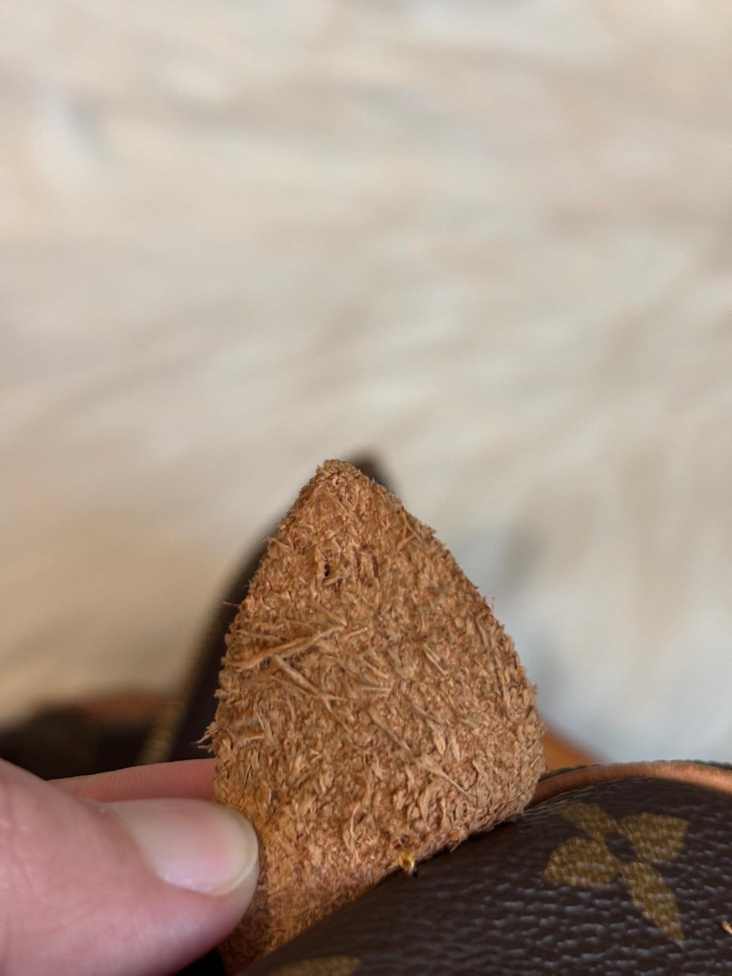 Louis Vuitton Speedy 40