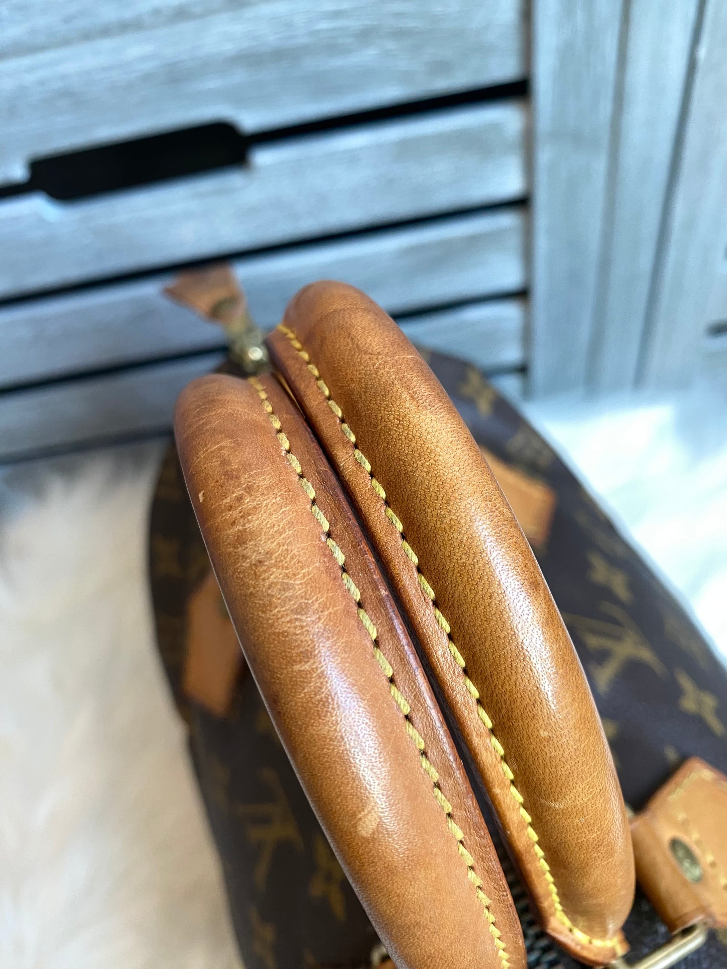 Louis Vuitton Speedy 25