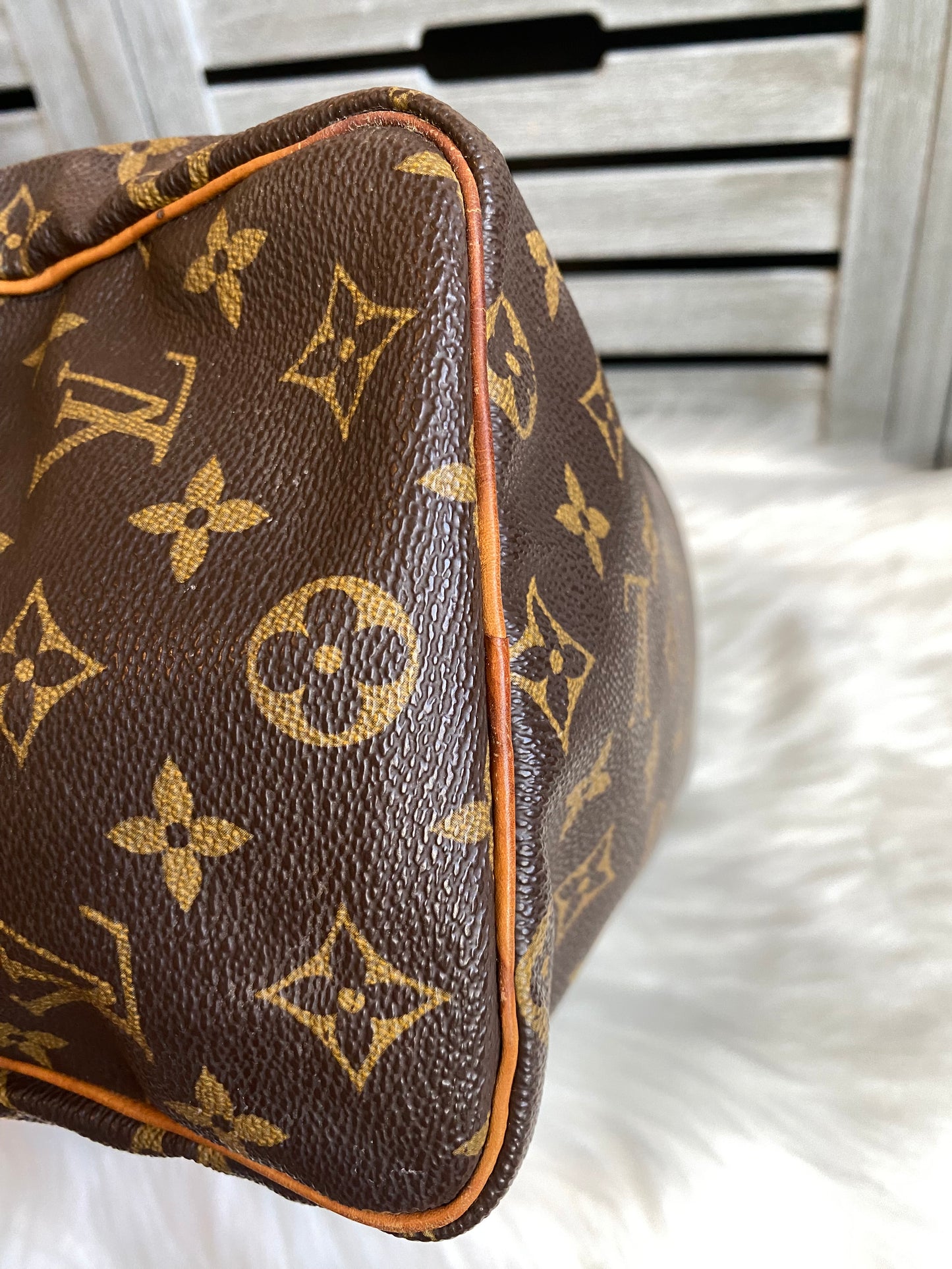 Louis Vuitton Speedy 25