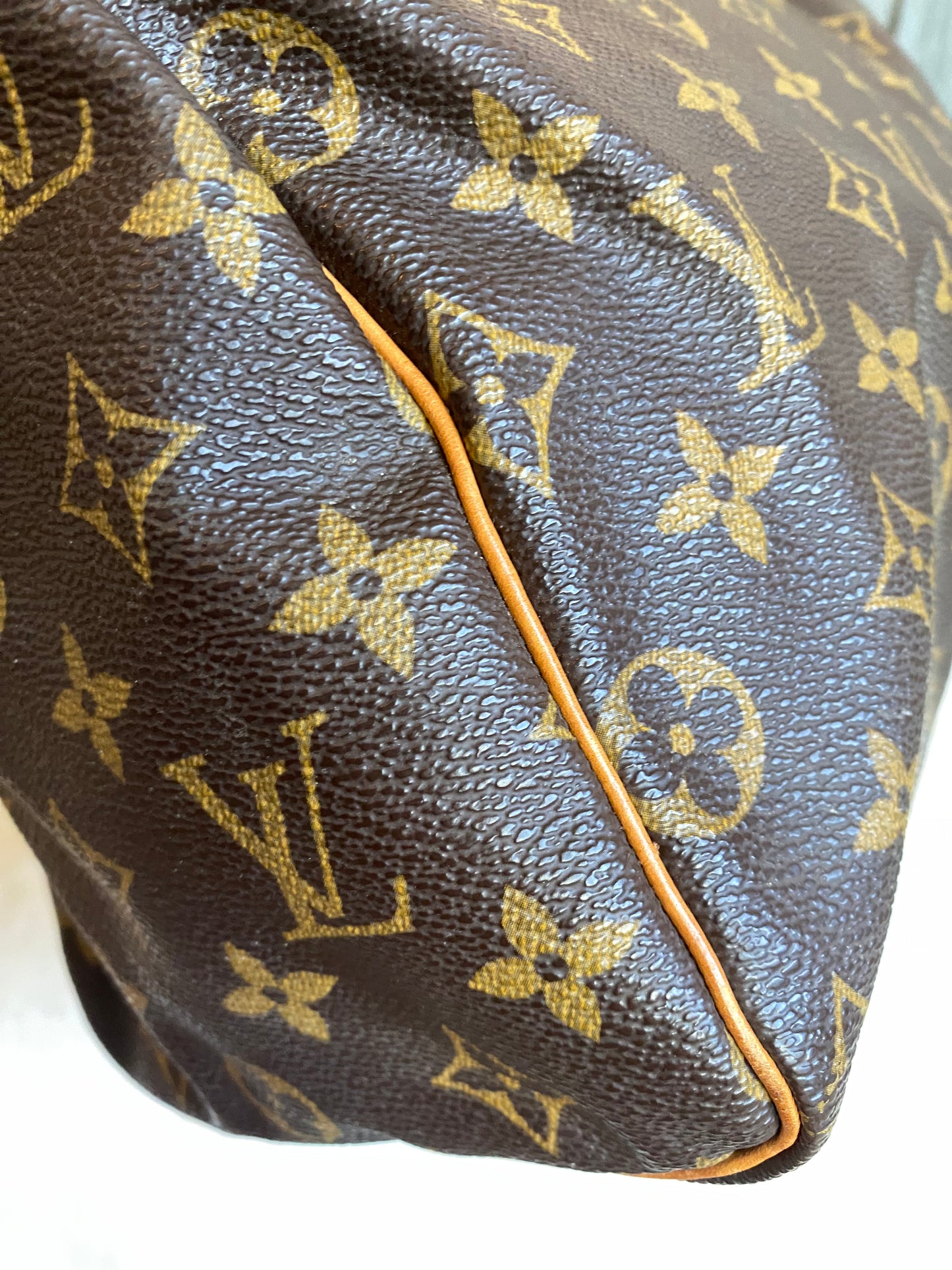 Louis Vuitton Speedy 25