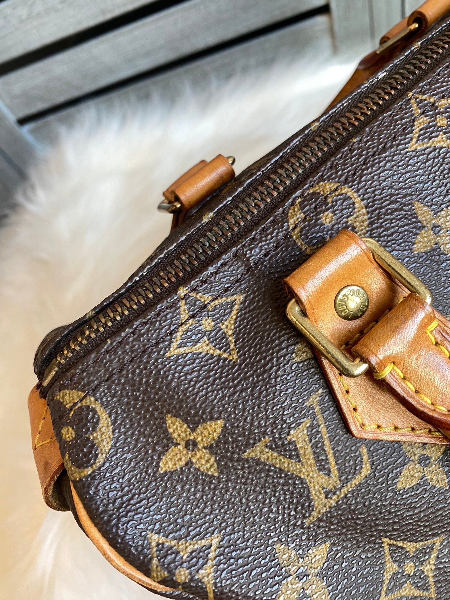 Louis Vuitton Speedy 25