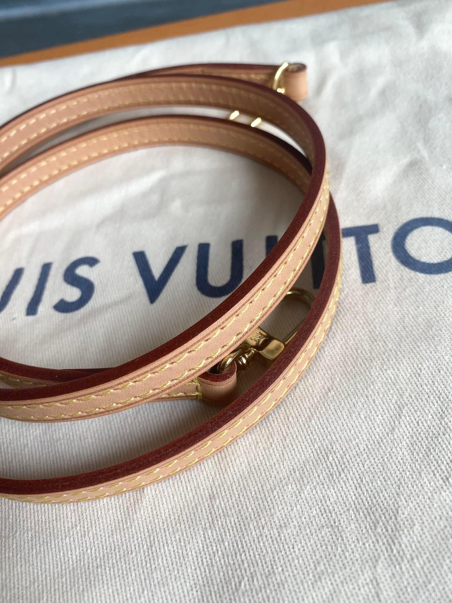 Louis Vuitton Alma BB Monogram