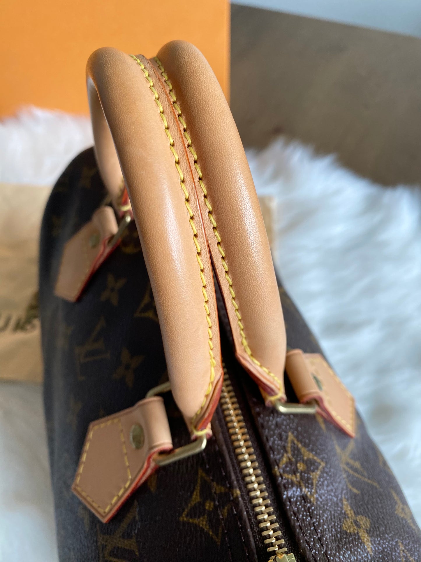 Louis Vuitton Speedy 25