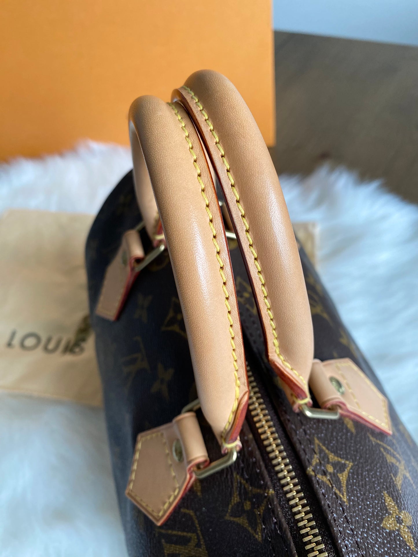 Louis Vuitton Speedy 25
