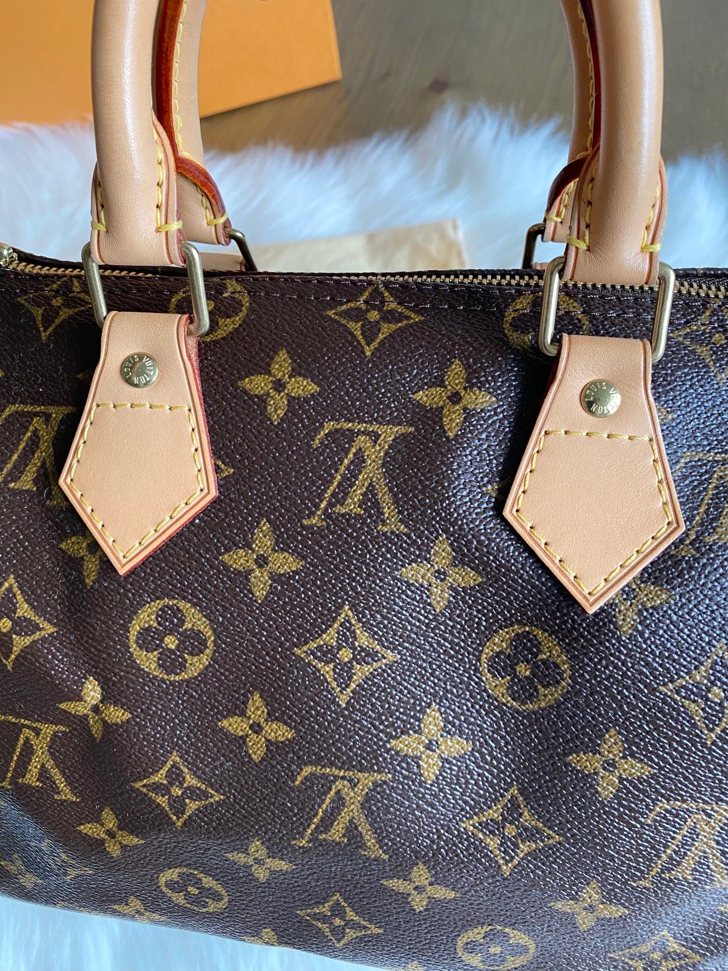 Louis Vuitton Speedy 25