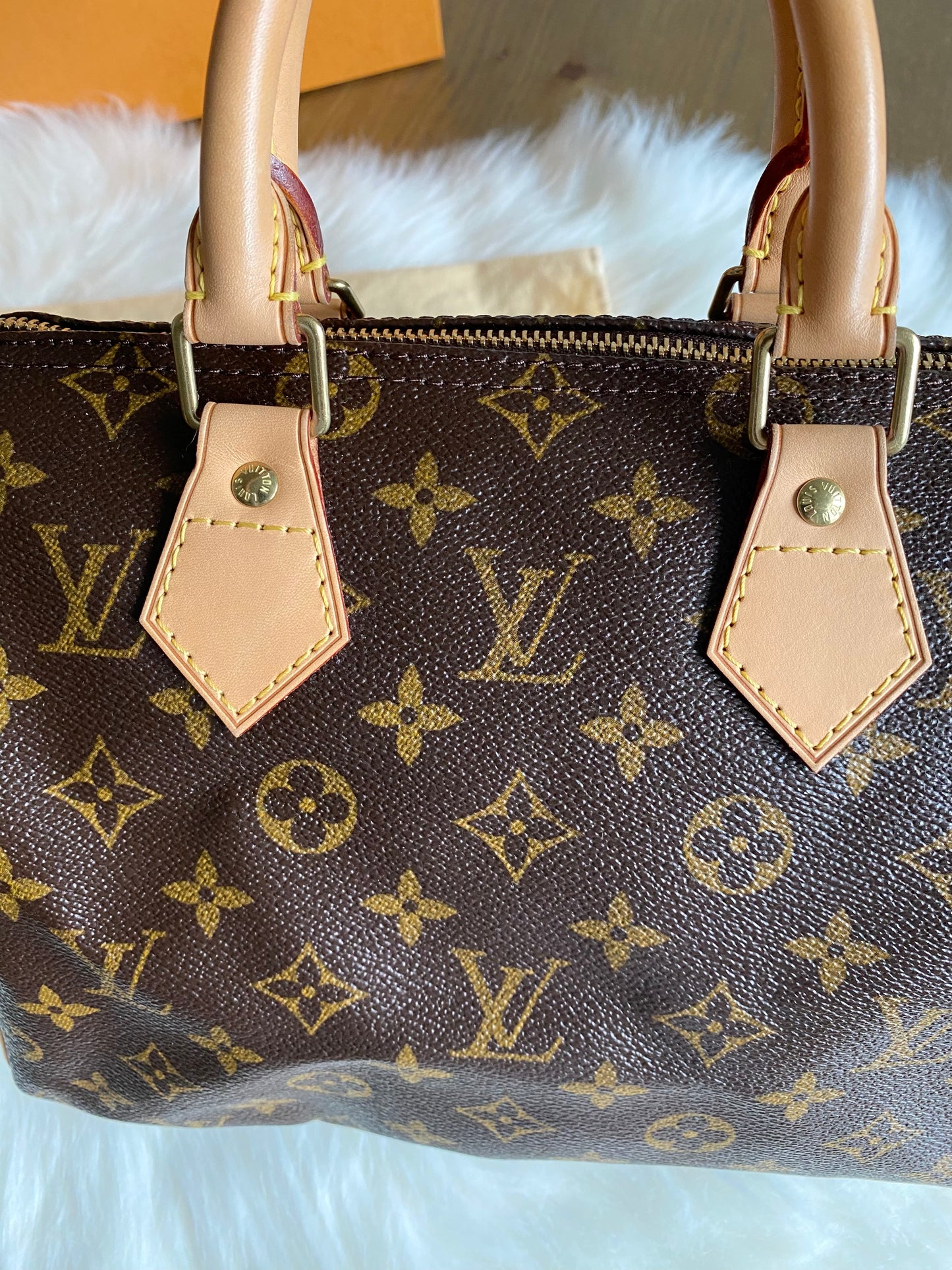 Louis Vuitton Speedy 25