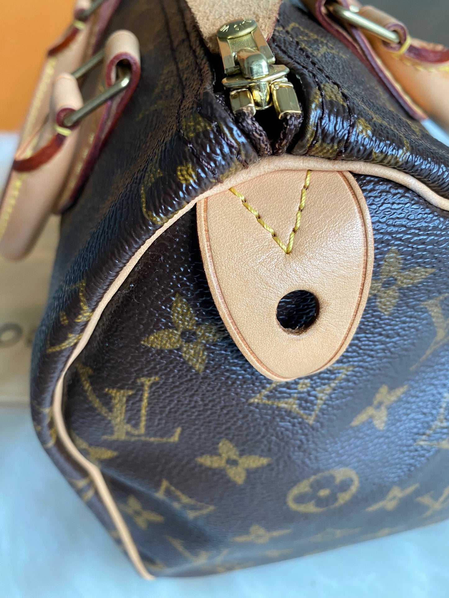 Louis Vuitton Speedy 25