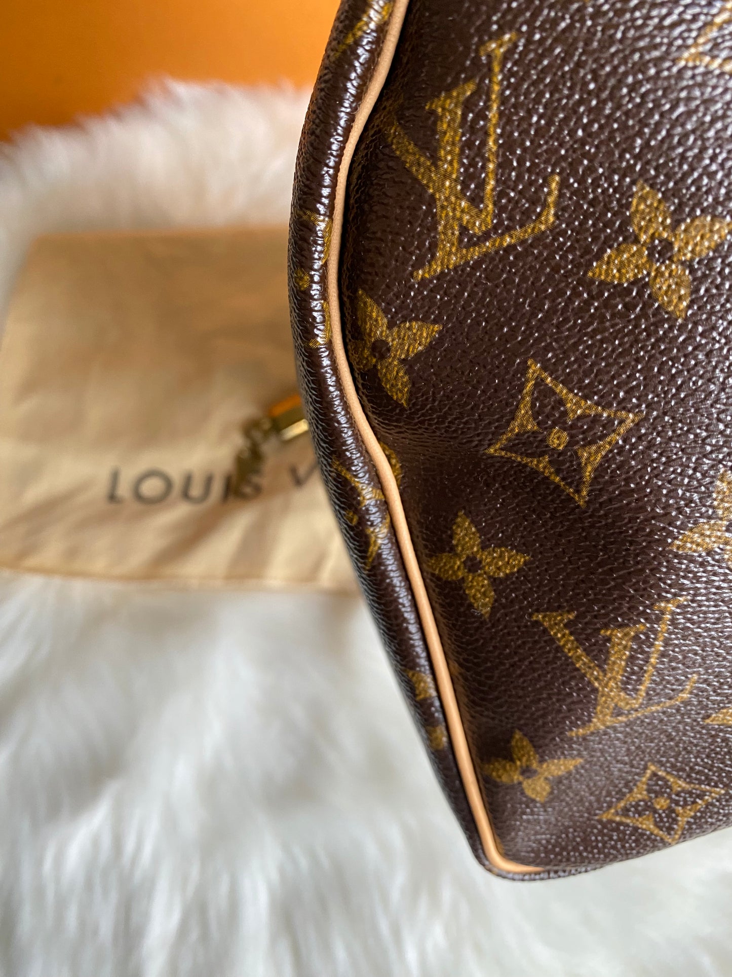 Louis Vuitton Speedy 25