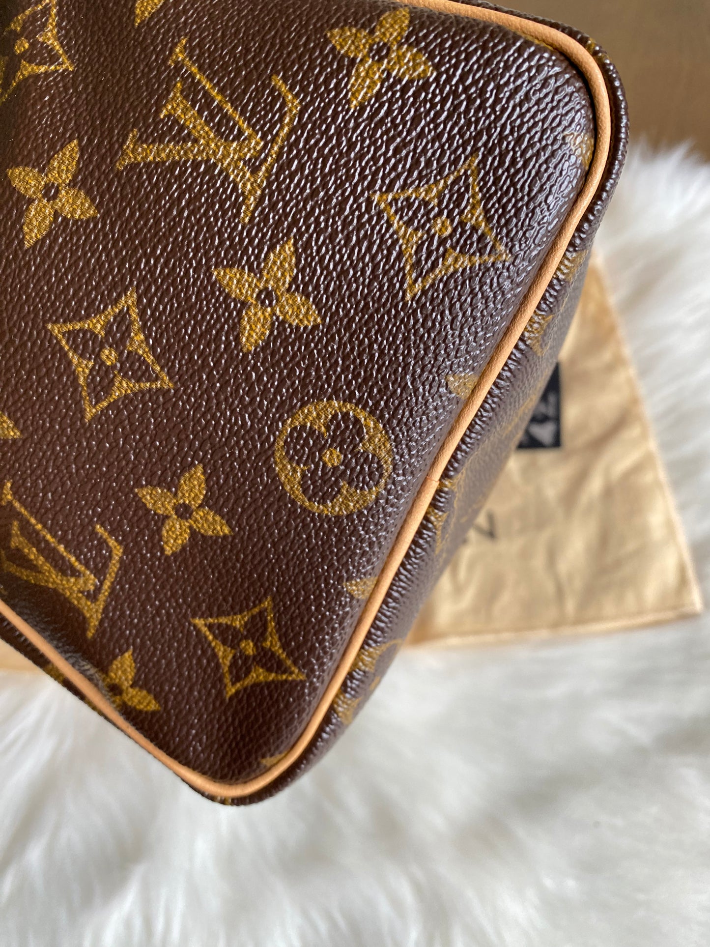 Louis Vuitton Speedy 25