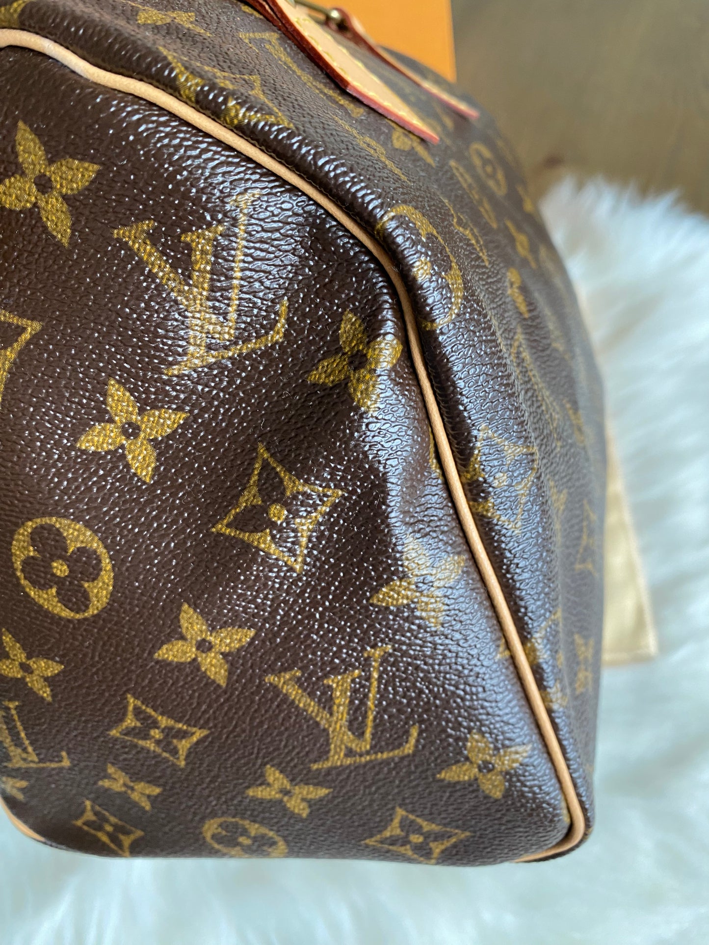 Louis Vuitton Speedy 25