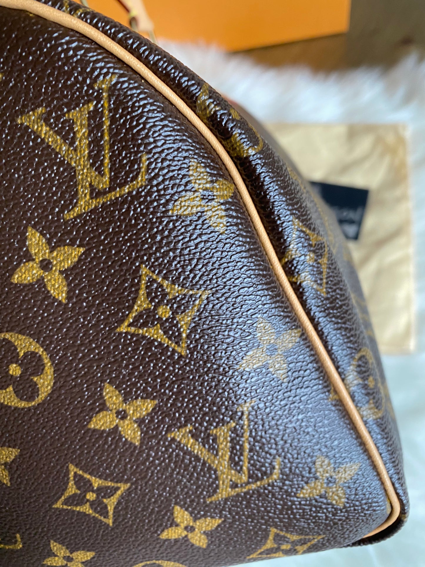 Louis Vuitton Speedy 25