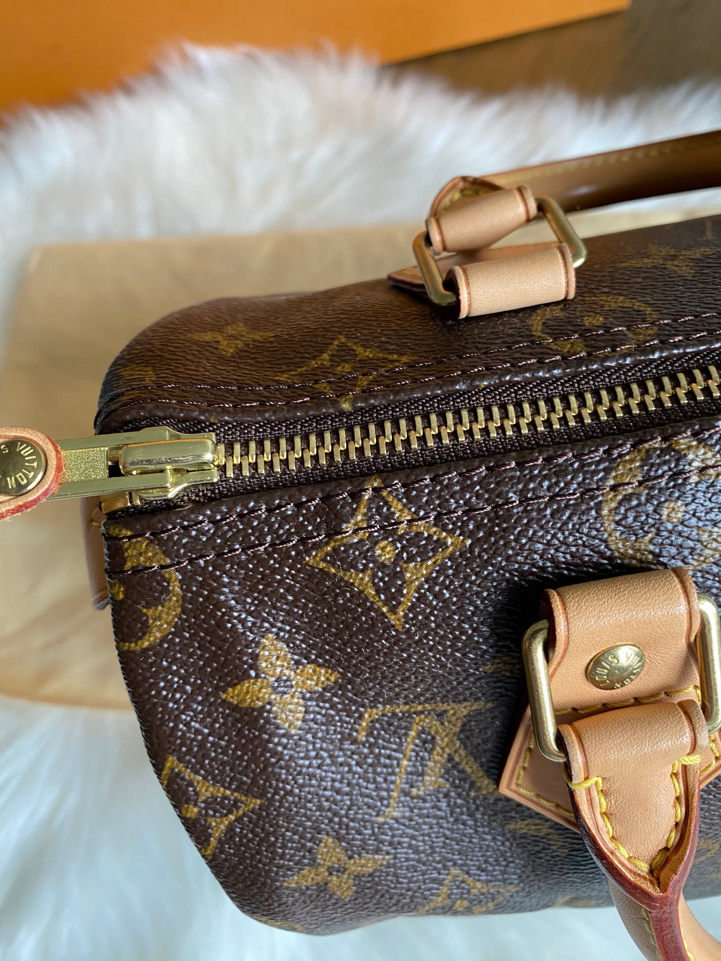 Louis Vuitton Speedy 25