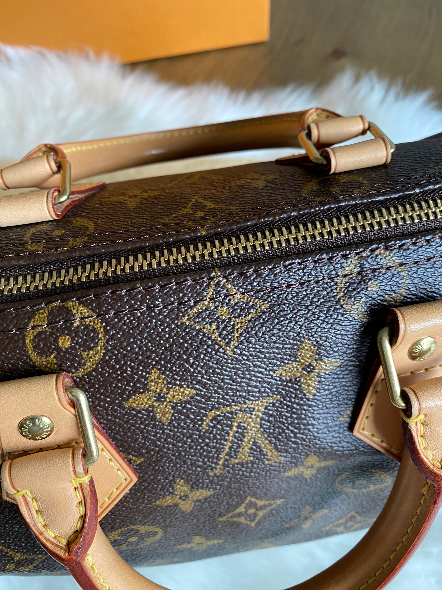Louis Vuitton Speedy 25
