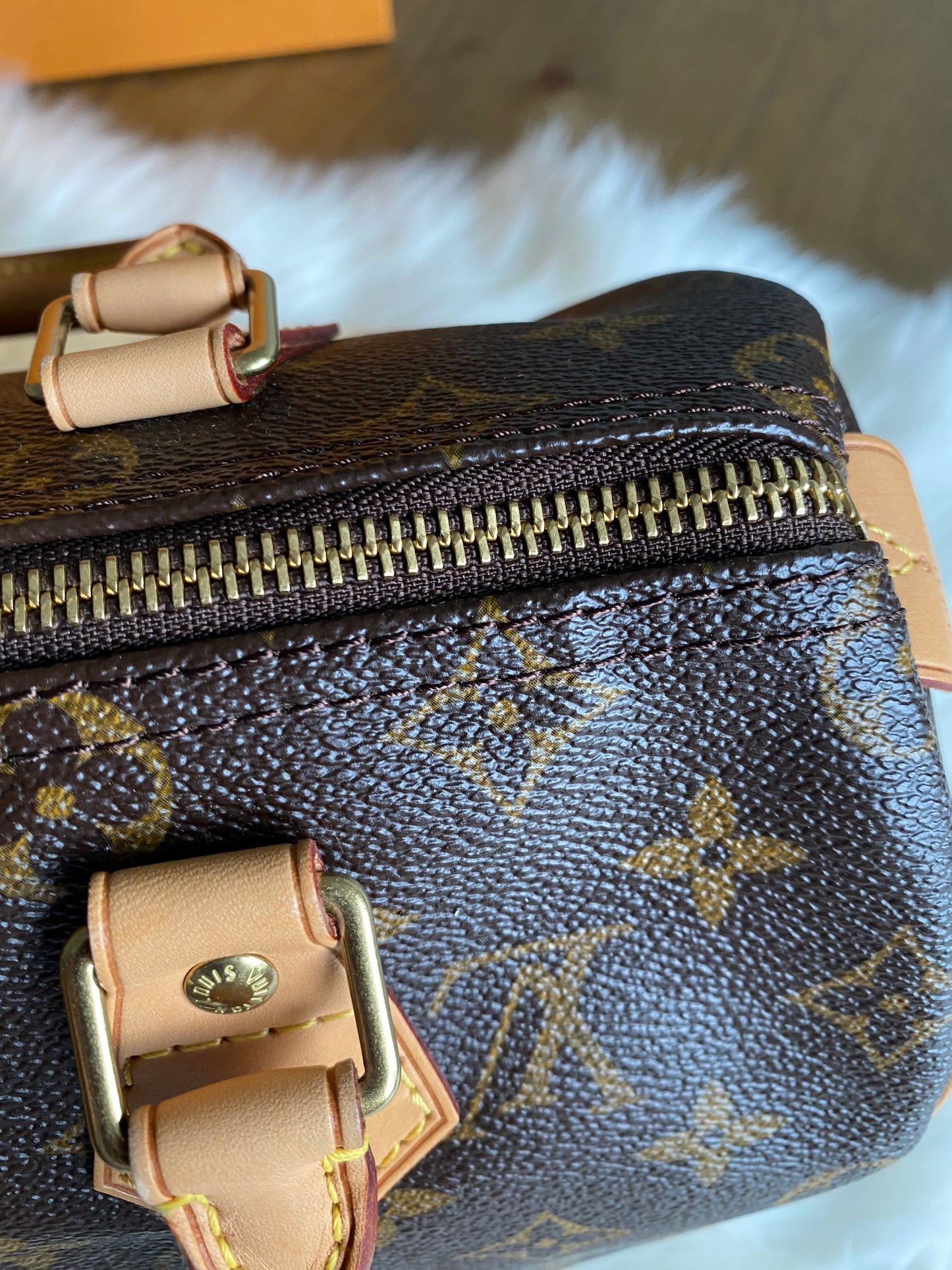 Louis Vuitton Speedy 25