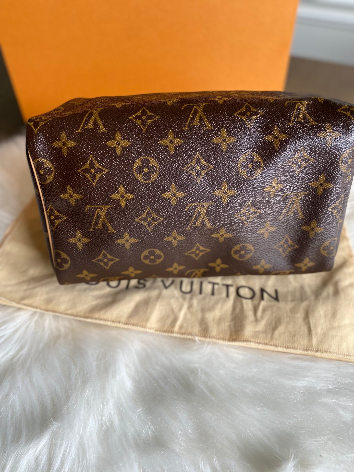 Louis Vuitton Speedy 25