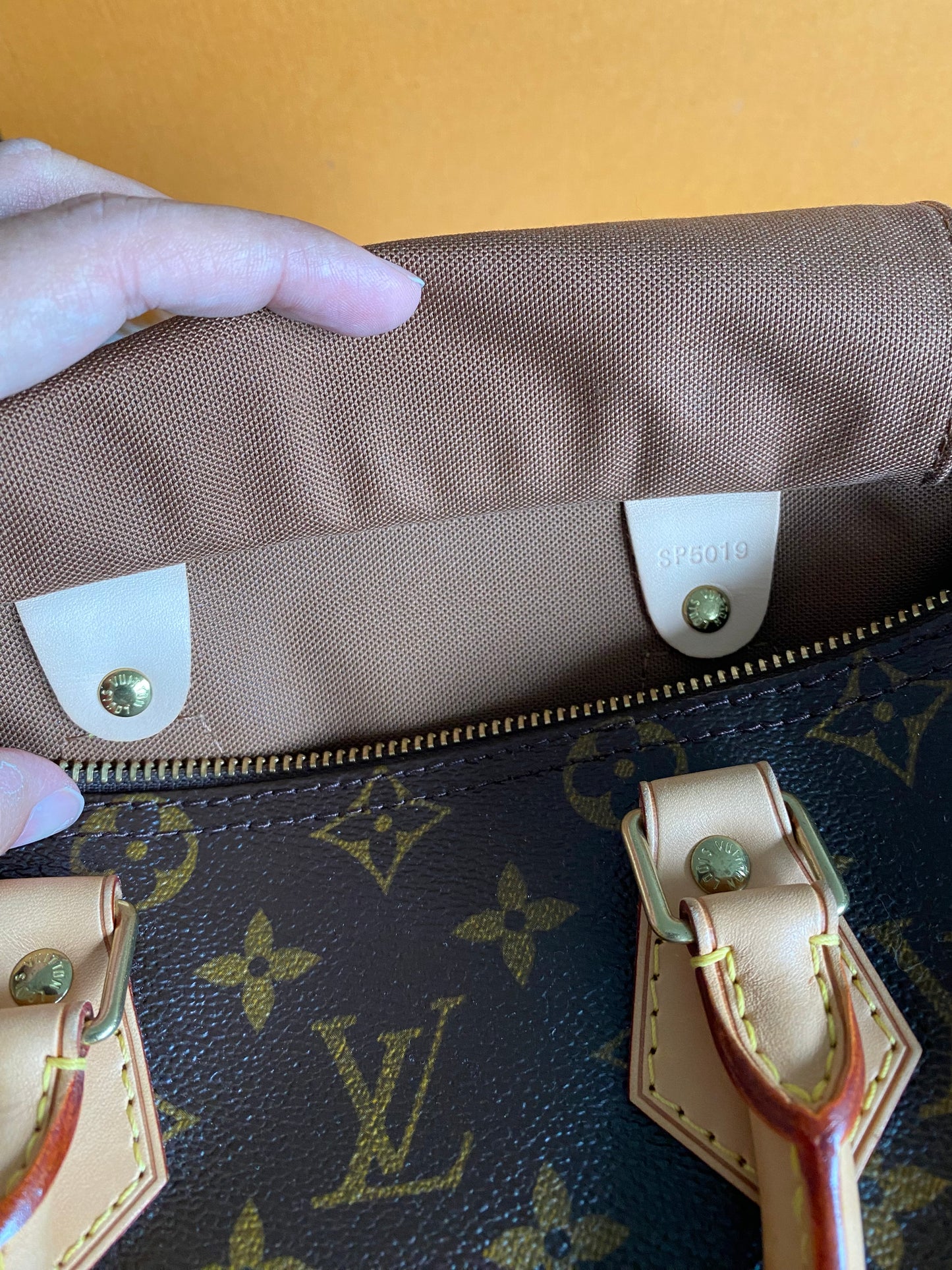 Louis Vuitton Speedy 25